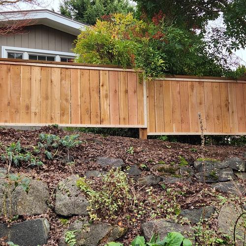 Fences after picture frame and cocktail rail install