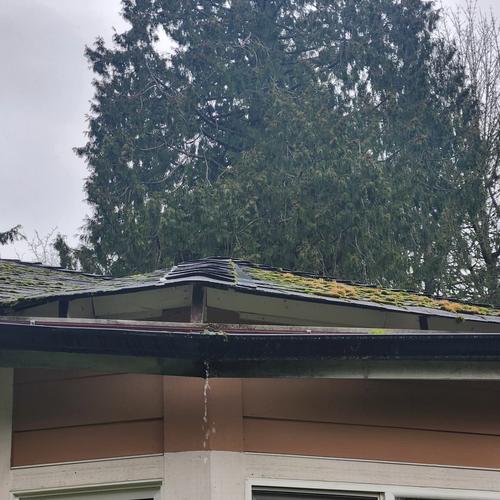 dilapidated gutters and roofing