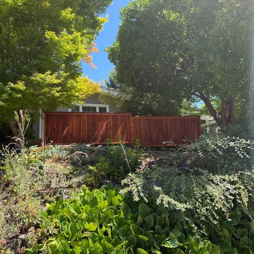 street-facing fence fully finished and stained