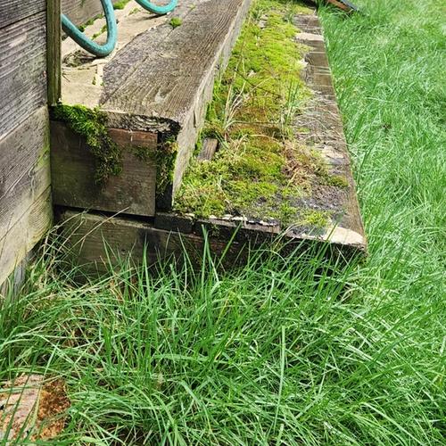 rotted deck step