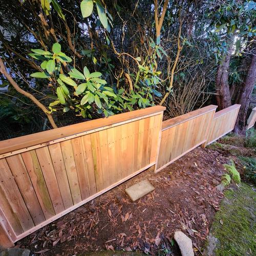 Fences after picture frame and cocktail rail install