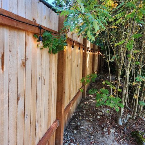 Fence line as it stretches back into bushes and trees