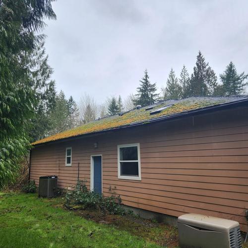 body of house in need of re-paint, roof in need of replacement