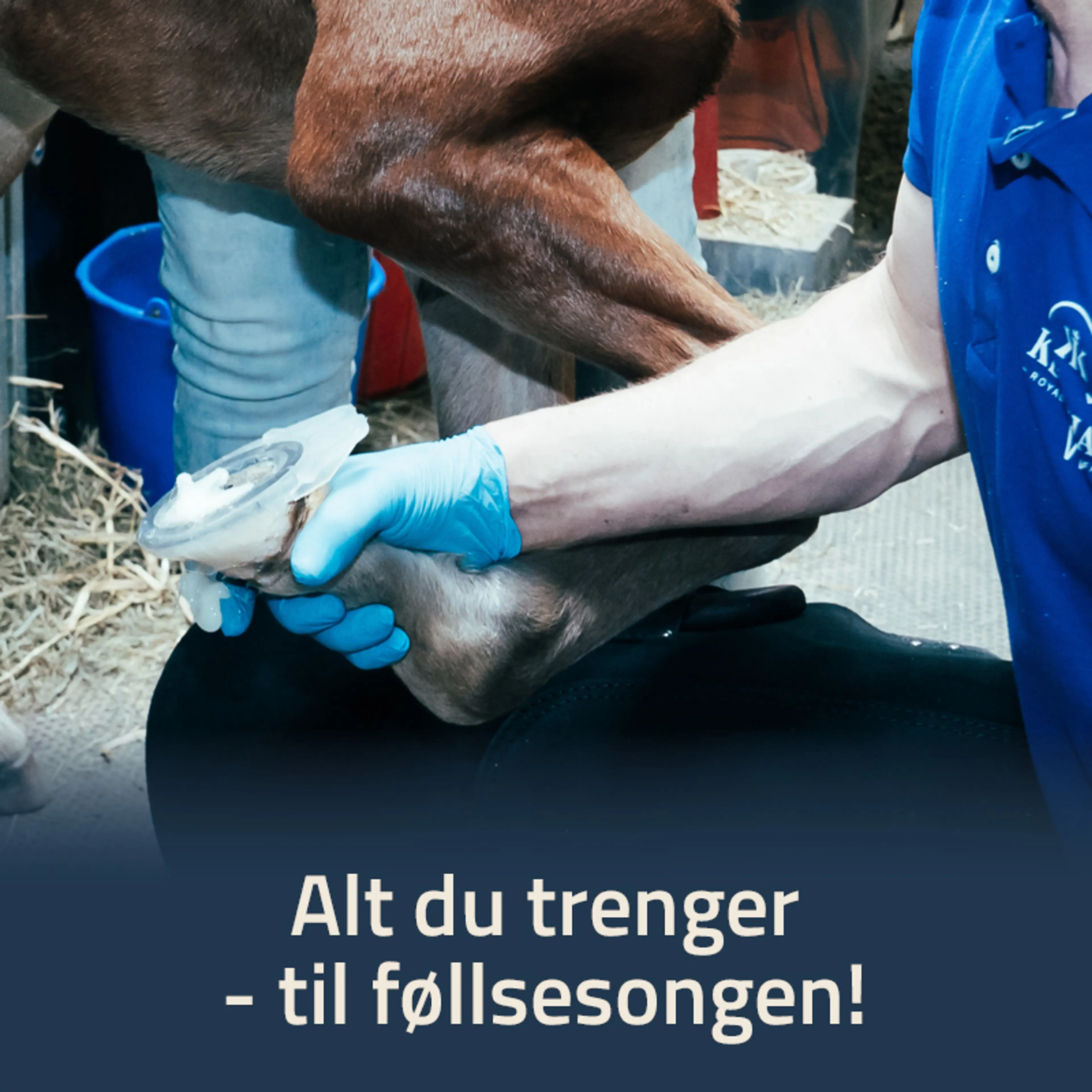 Alt du trenger til føllsesongen!