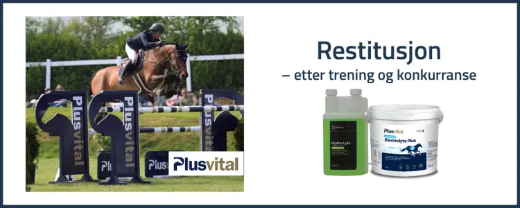 Elektrolytter til hest