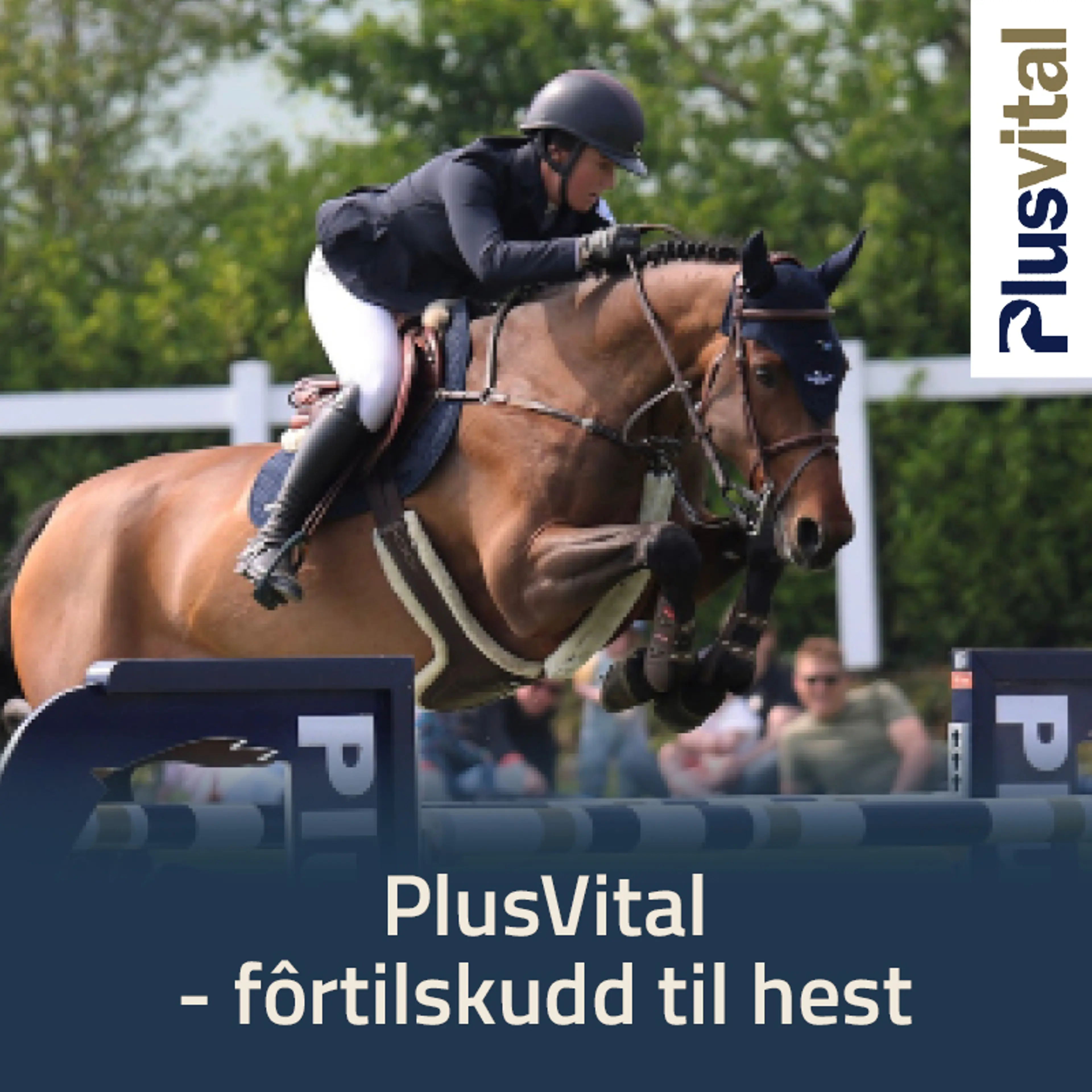 Plus Vital