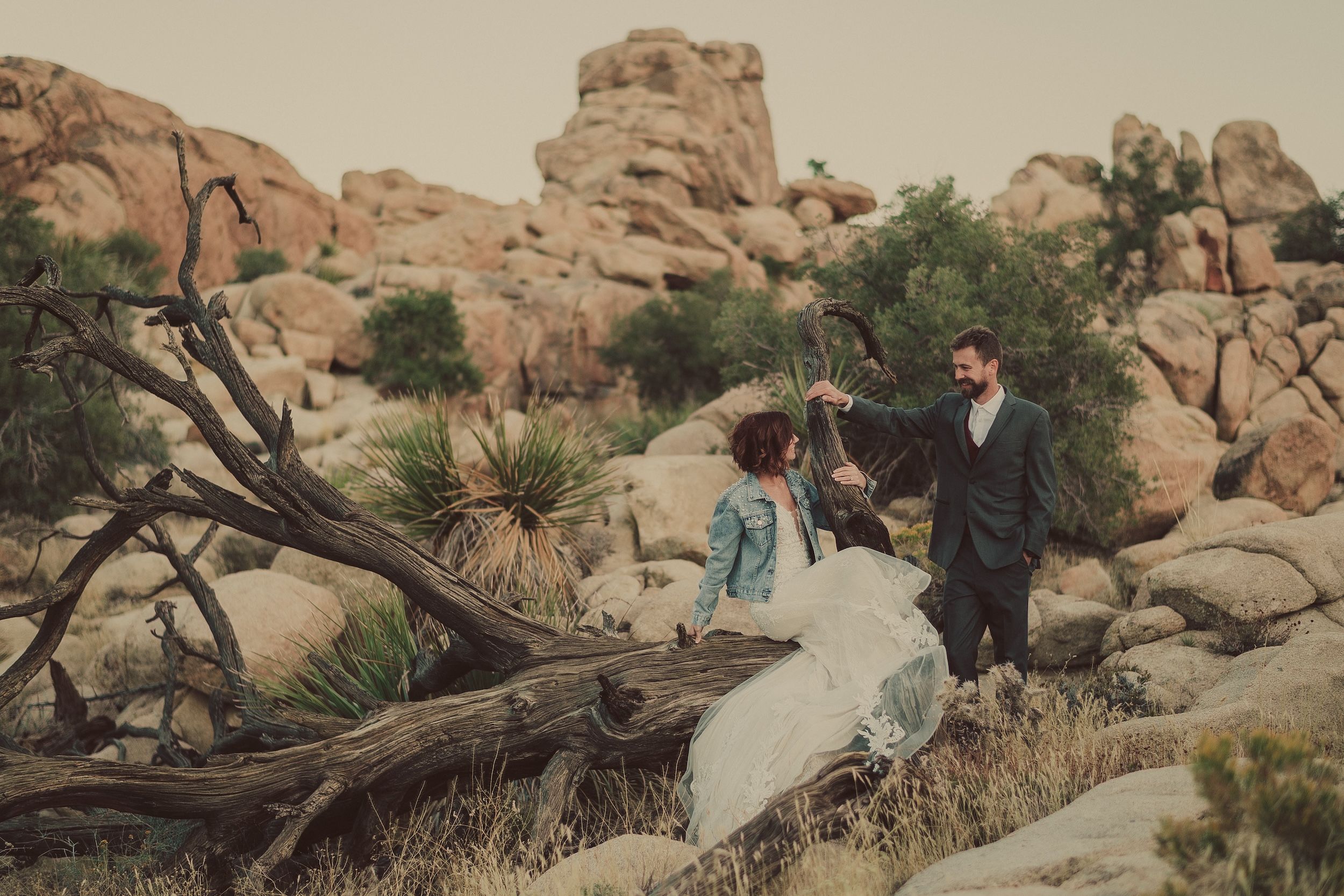 Joshua Tree Elopement, Joshua Tree Elopement Photographer, Joshua Tree Wedding Photos, Joshua Tree Wedding Photographer, Joshua Tree Elopements