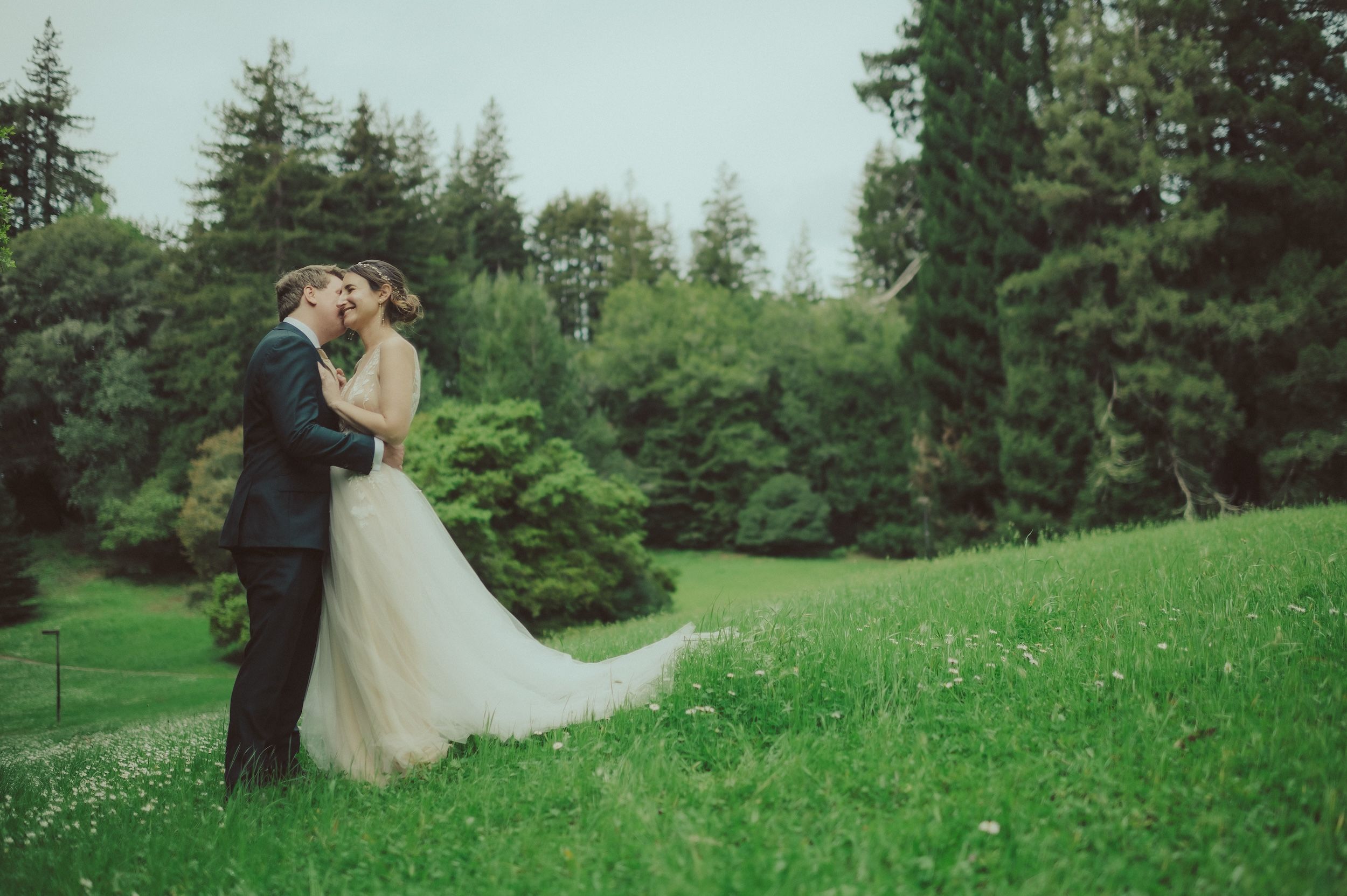 Henry Cowell Redwoods State Park Wedding, Woodhouse Brewery Wedding, Santa Cruz Wedding, James Lester Photography
