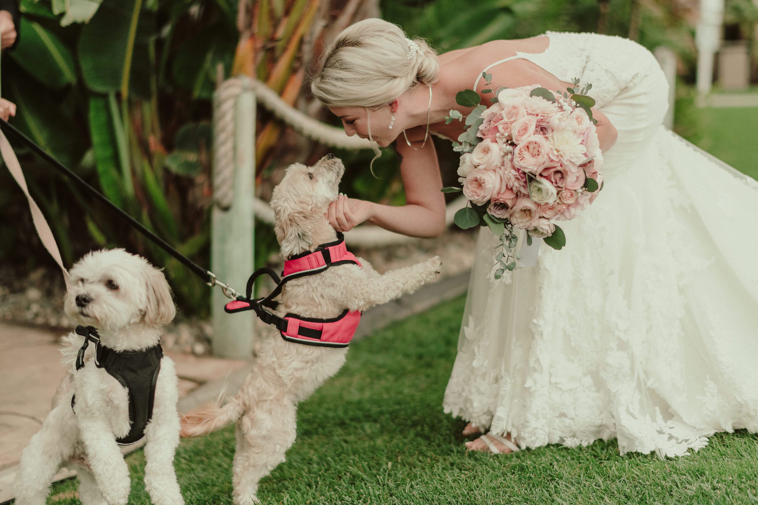 Cliffs Hotel &amp;amp;amp; Spa Wedding in Pismo Beach , San Luis Obispo Wedding Photographer, Pismo Beach Wedding Photographer, James Lester Photography