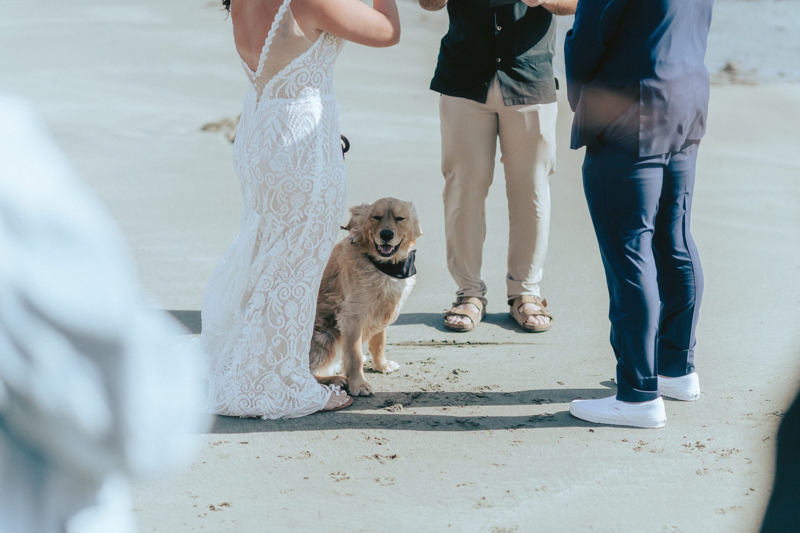 Estero Bluffs State Park Adventure Elopement, James Lester Photography, Cayucos CA Wedding