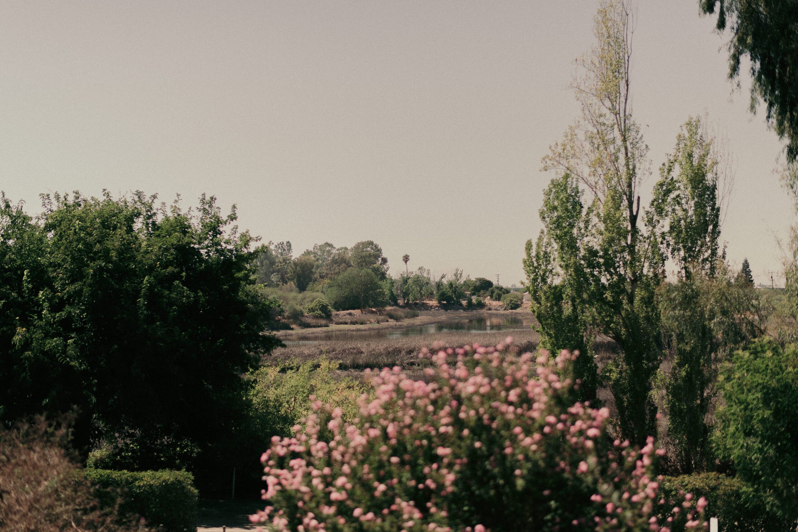 Hidden Hollow Wedding Reedley CA, Fresno Wedding Photographer, San Luis Obispo Wedding Photographer, James Lester Photography