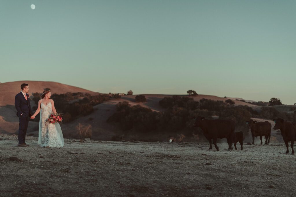 Spreafico Farms Wedding Venue San Luis Obispo, San Luis Obispo Wedding Photographer, James Lester Photography