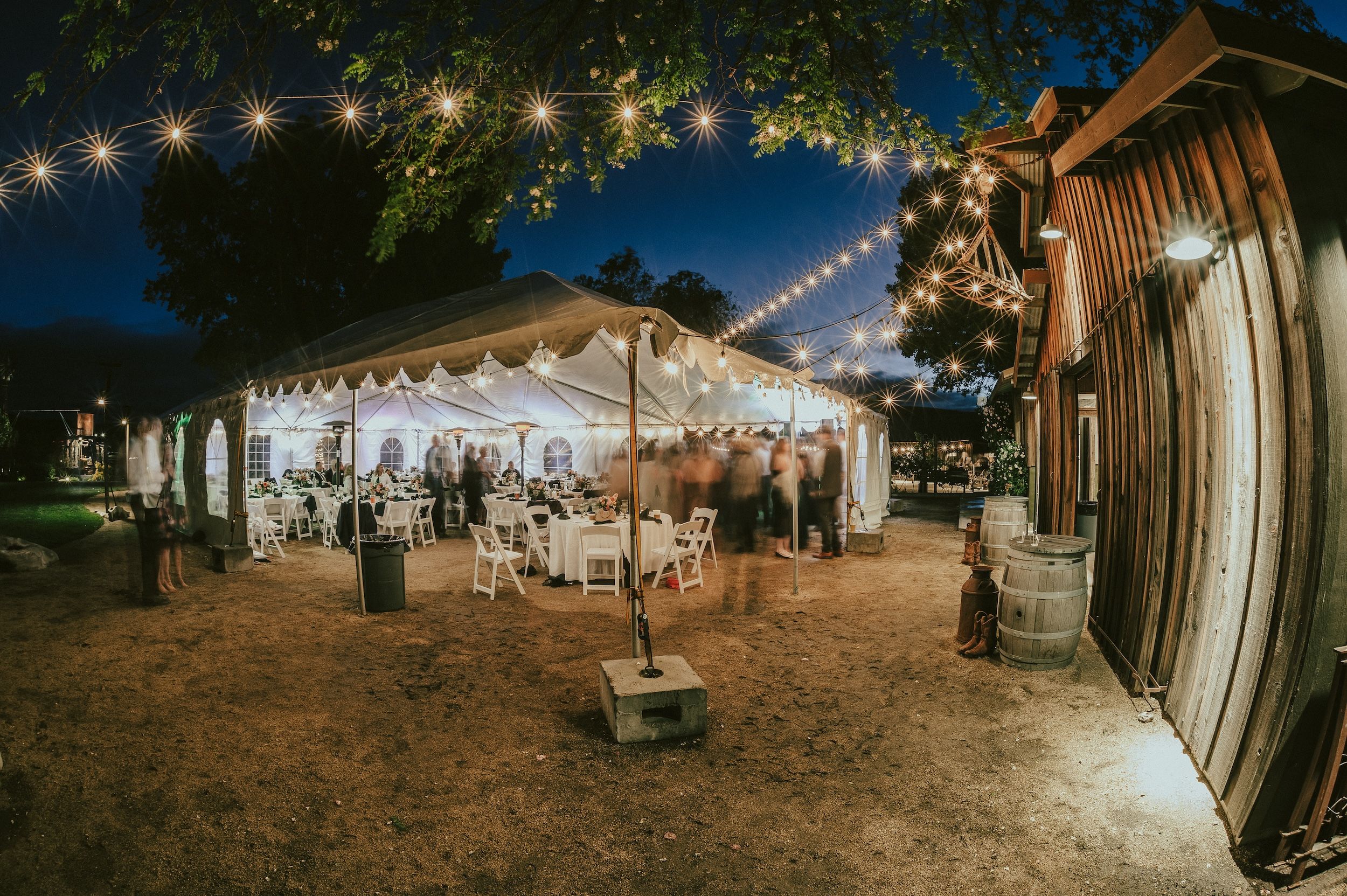 Almond Springs Wedding, Almond Springs Ranch Wedding Photos, Almond Springs Wedding Venue, San Luis Obispo Wedding Photographer