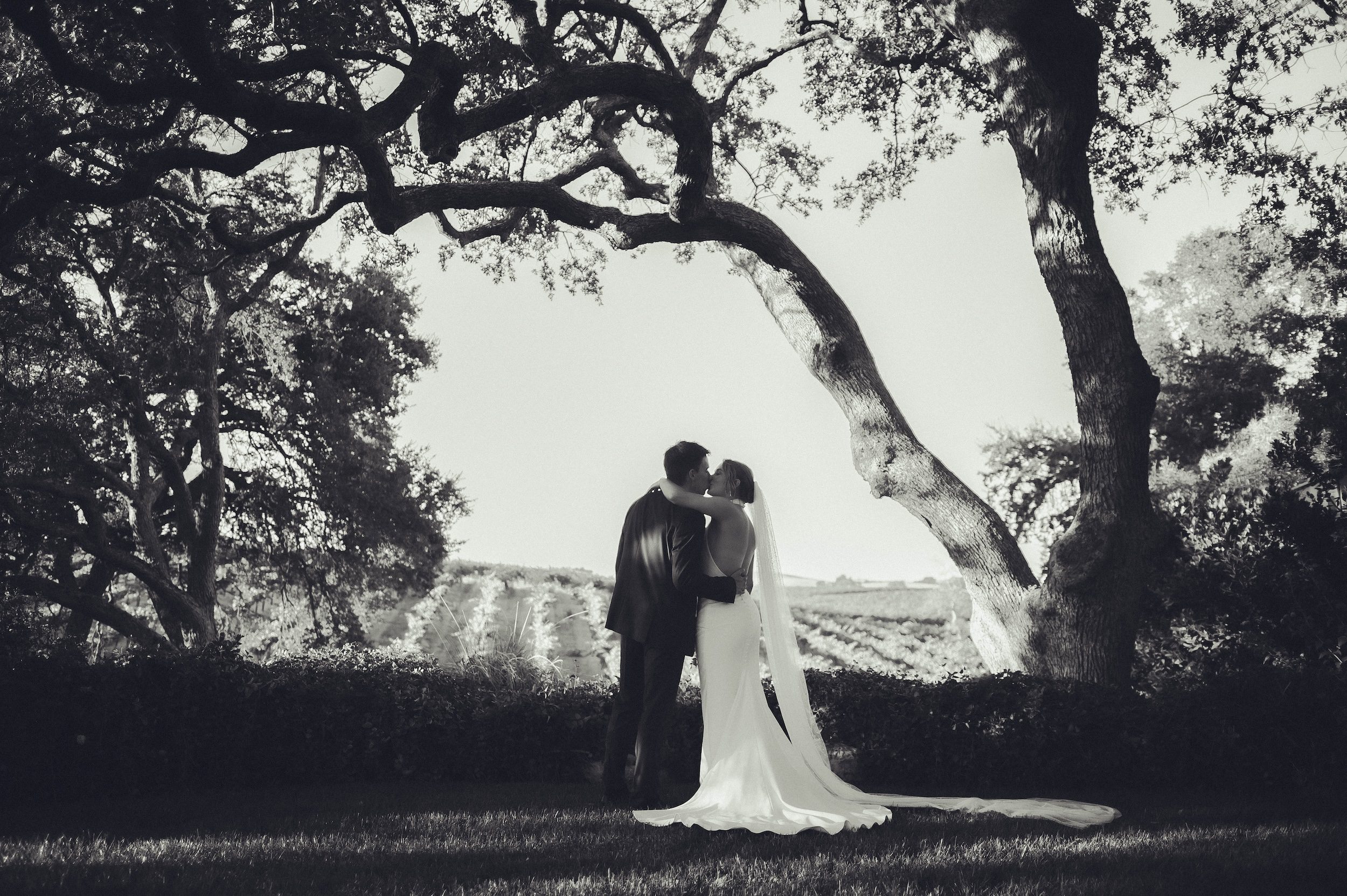 Villa San Juliette Wedding, Villa San Juliette Photos, Villa San Juliette Paso Robles, Paso Robles Wedding Photographer