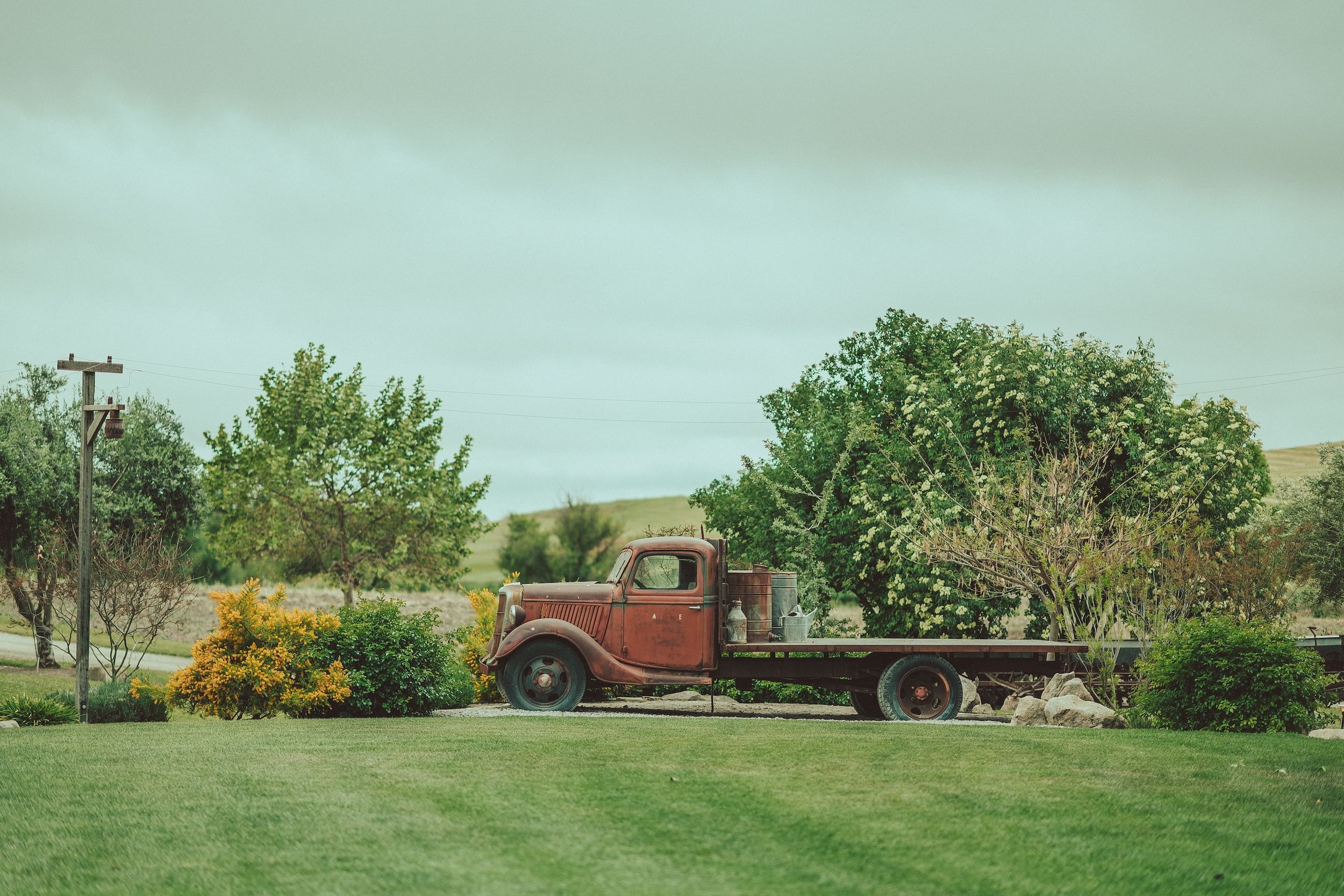 Almond Springs Wedding, Almond Springs Ranch Wedding Photos, Almond Springs Wedding Venue, San Luis Obispo Wedding Photographer