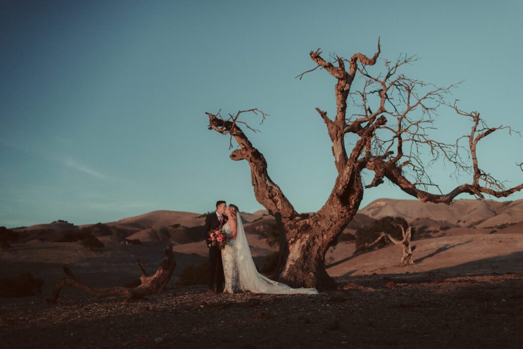 Spreafico Farms Wedding Venue San Luis Obispo, San Luis Obispo Wedding Photographer, James Lester Photography