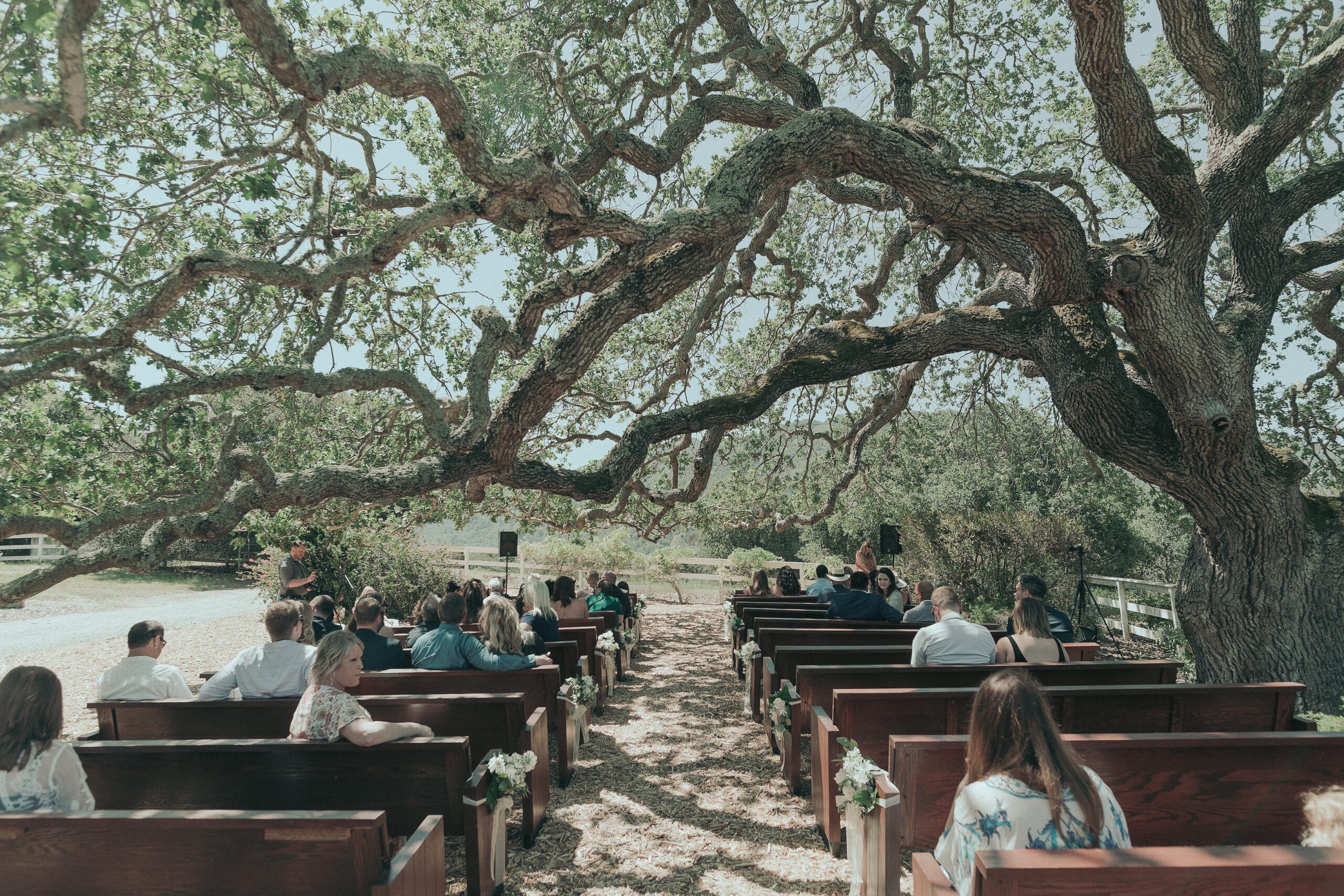 Los Laureles Lodge Wedding, Carmel Valley Wedding, James Lester Photography, Carmel Valley Wedding Photographer
