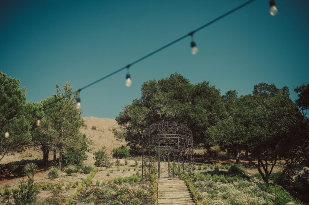 Chateau Noland Wedding, Chateau Noland San Luis Obispo, Chateau Noland Photos, San Luis Obispo Wedding Photographer