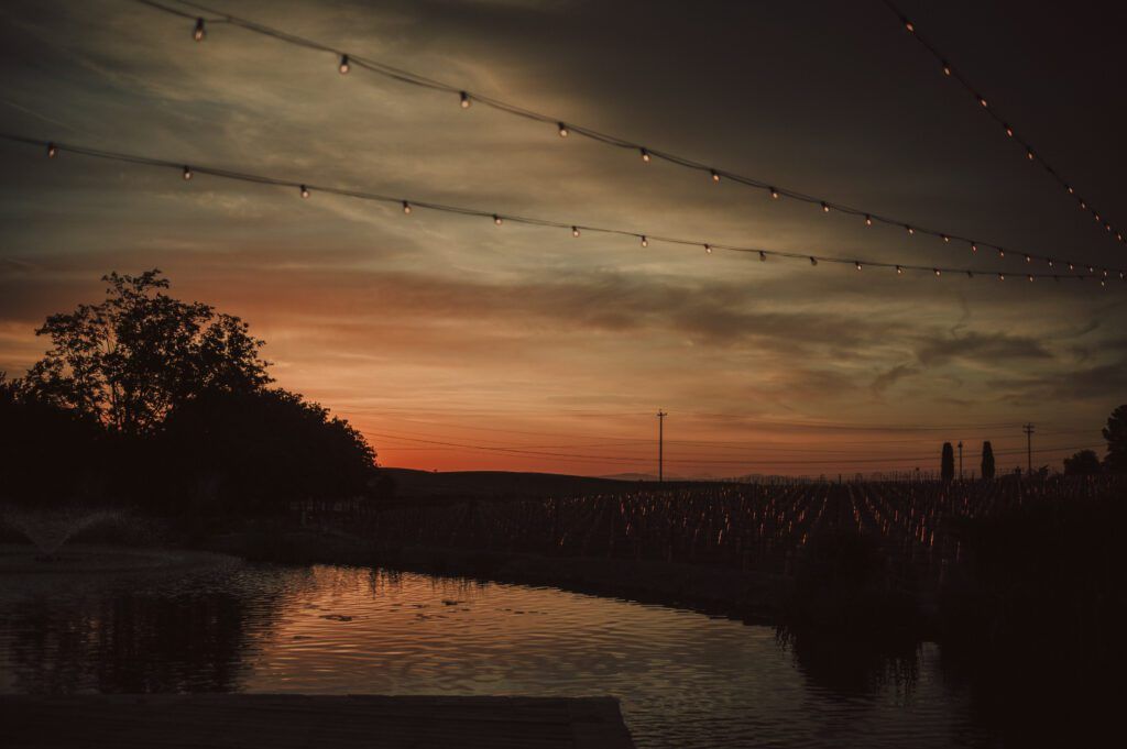 Bianchi Winery Wedding, Bianchi Winery and Tasting Room Wedding, James Lester Photography
