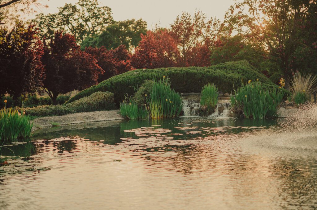 Bianchi Winery Wedding, Bianchi Winery and Tasting Room Wedding, James Lester Photography