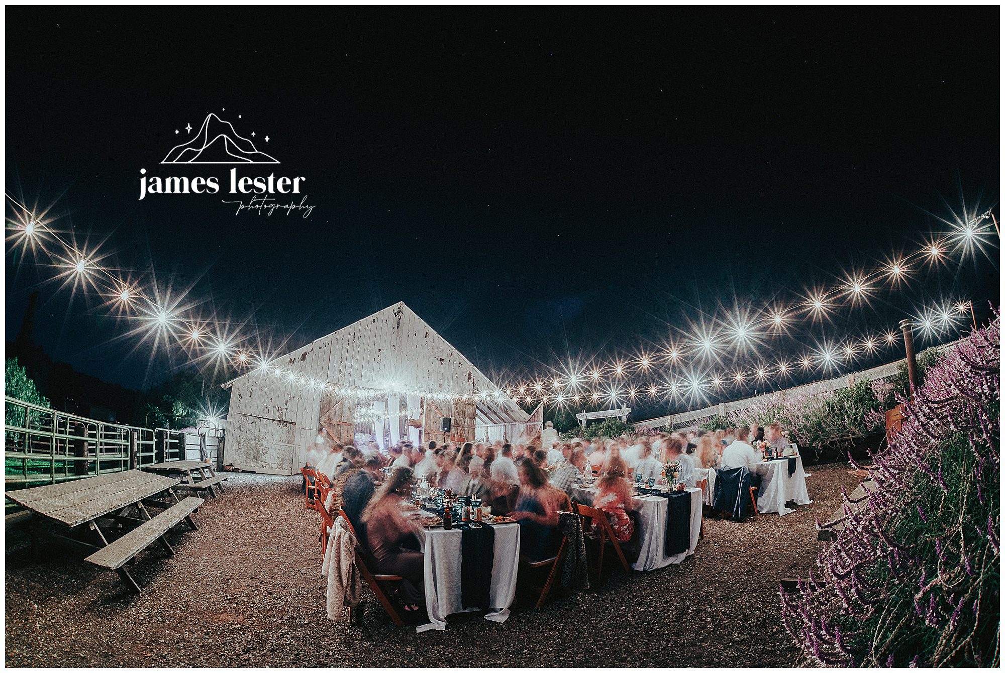 catalina-dylan-married_656