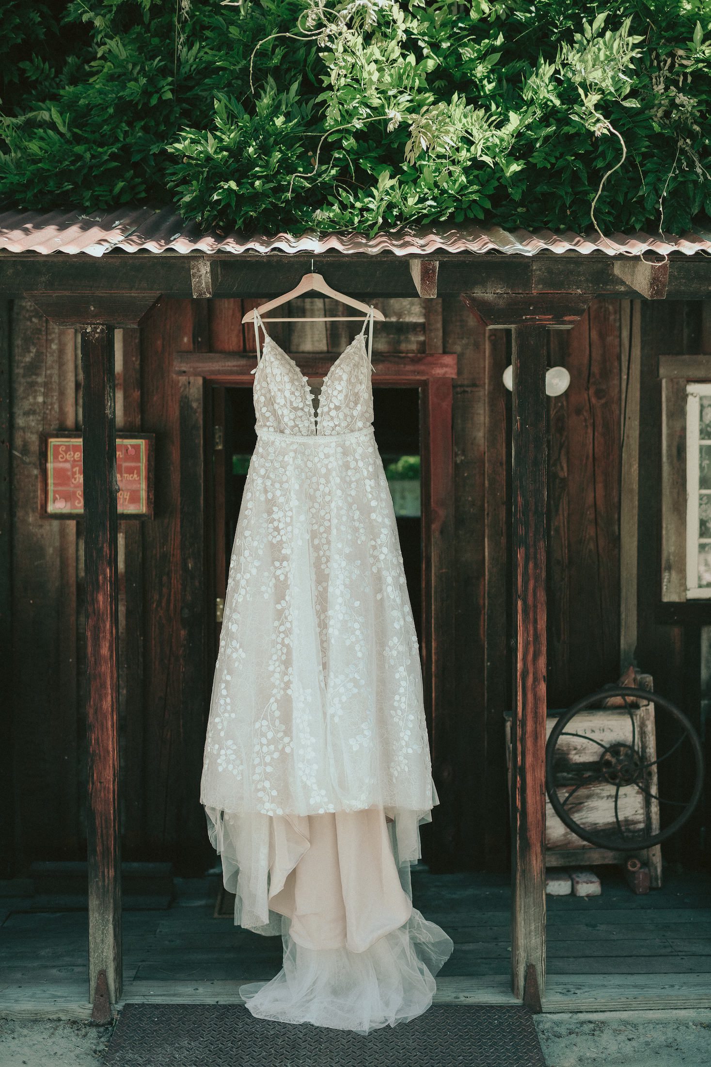 See Canyon Fruit Ranch Wedding, San Luis Obispo Wedding Photographer, James Lester Photography