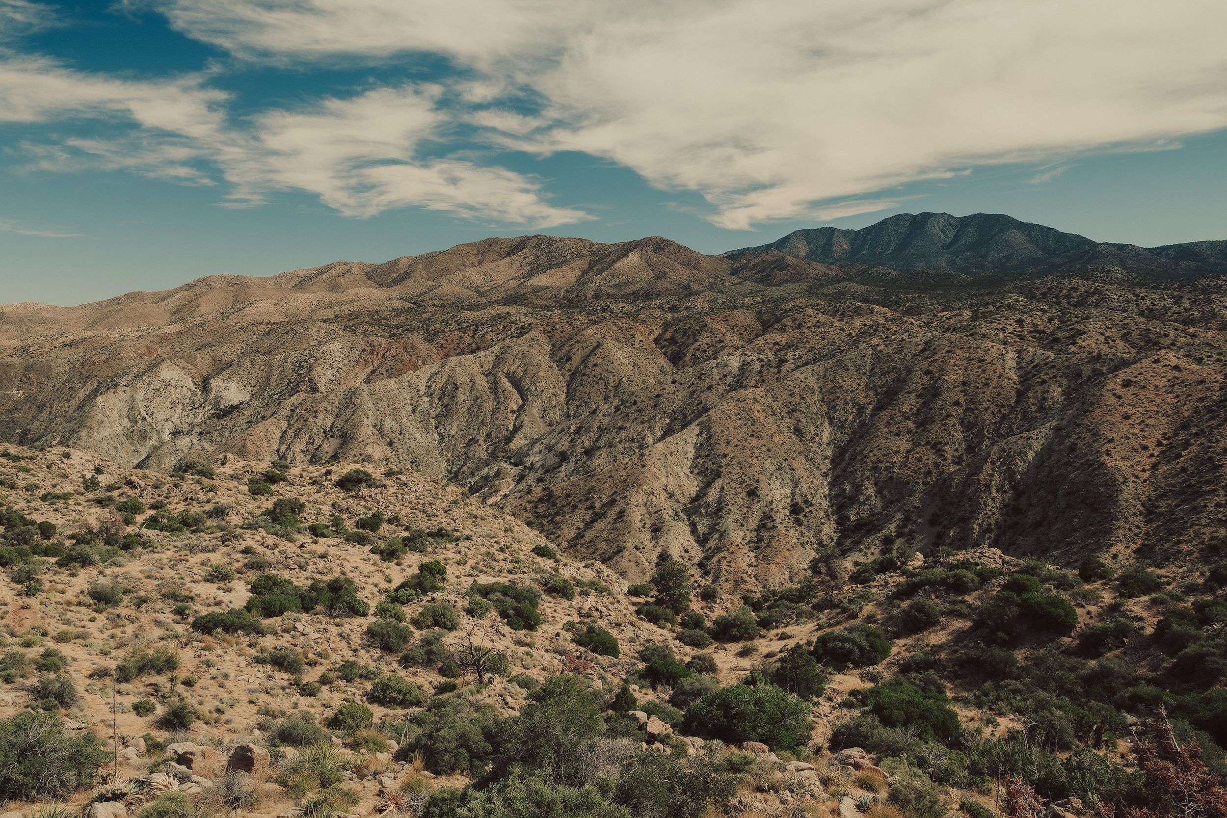 Joshua Tree Wedding Photos, Joshua Tree Wedding Photographer, Joshua Tree Wedding Package