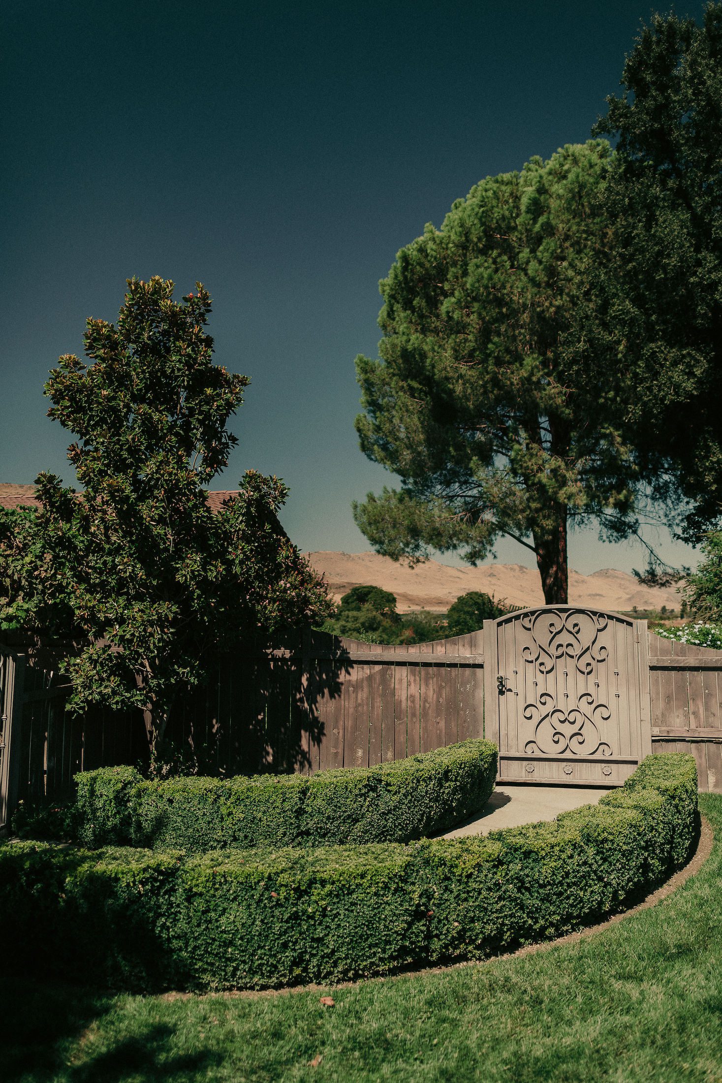 Hidden Hollow Wedding Reedley CA, Fresno Wedding Photographer, San Luis Obispo Wedding Photographer, James Lester Photography