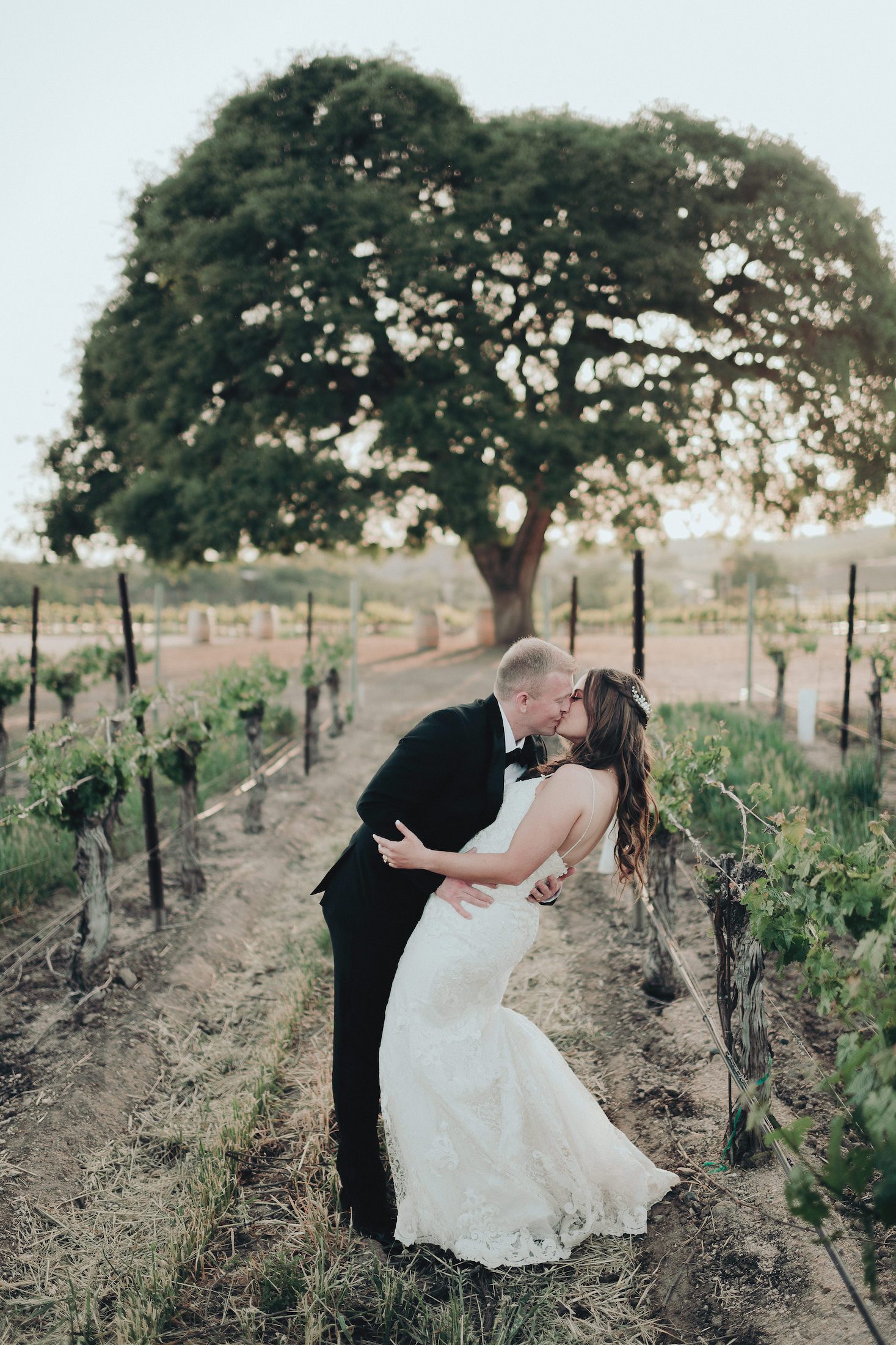 Cass Winery Wedding Paso Robles, Mission San Miguel Wedding, James Lester Photography, San Luis Obispo Wedding Photographer
