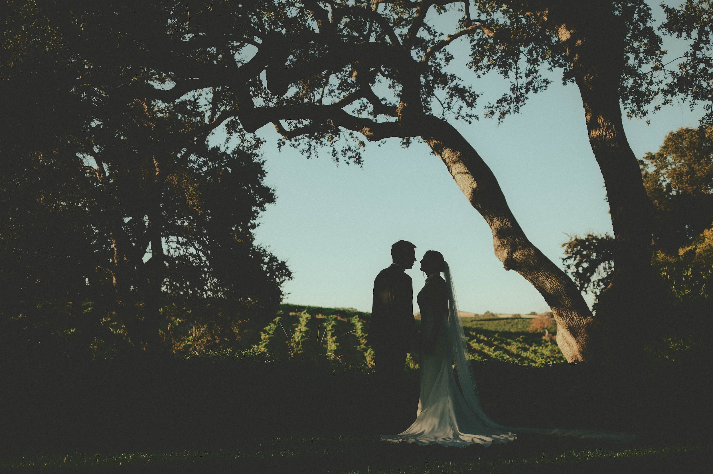 Villa San Juliette Wedding, Villa San Juliette Photos, Villa San Juliette Paso Robles, Paso Robles Wedding Photographer