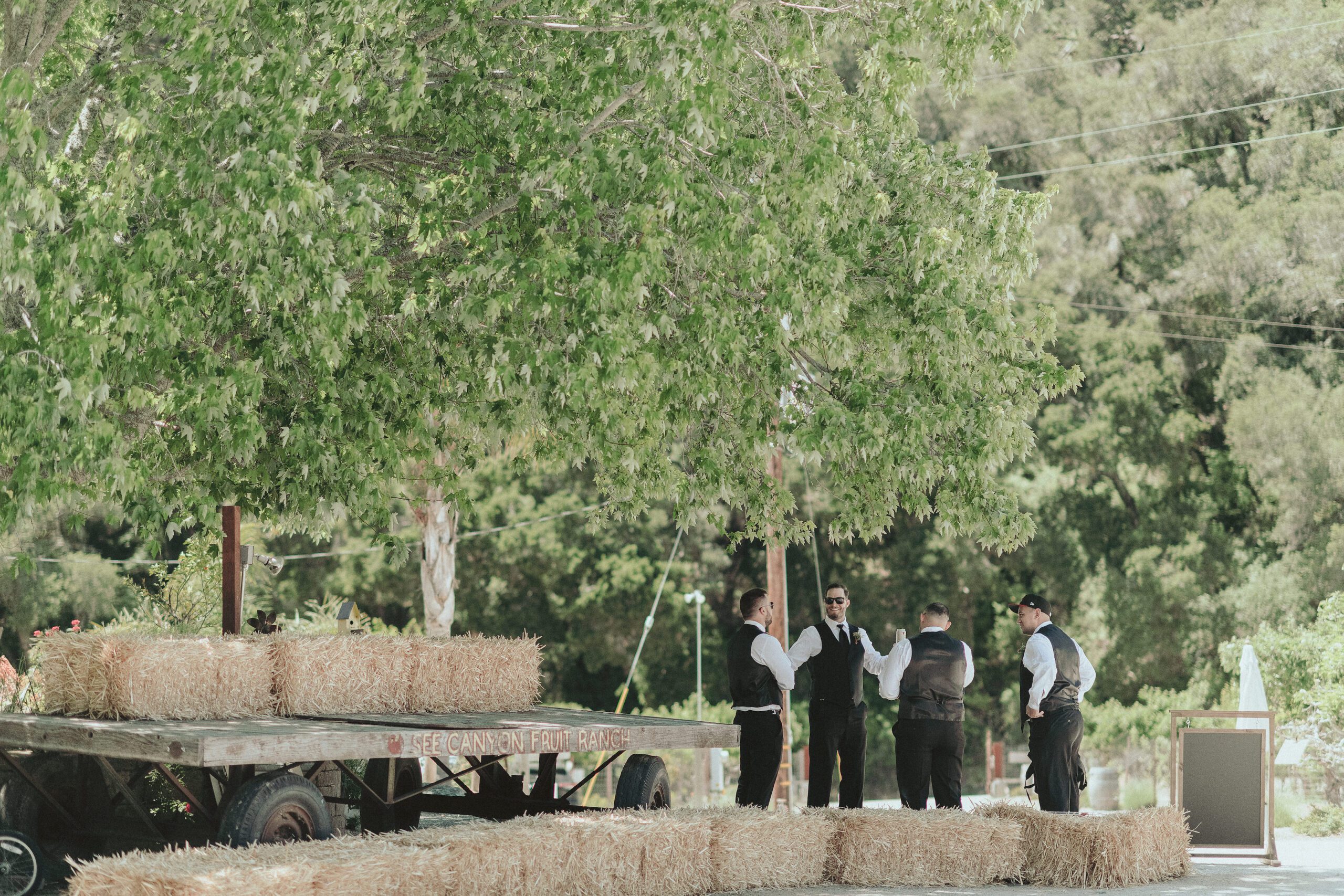 See Canyon Fruit Ranch Wedding, San Luis Obispo Wedding Photographer, James Lester Photography
