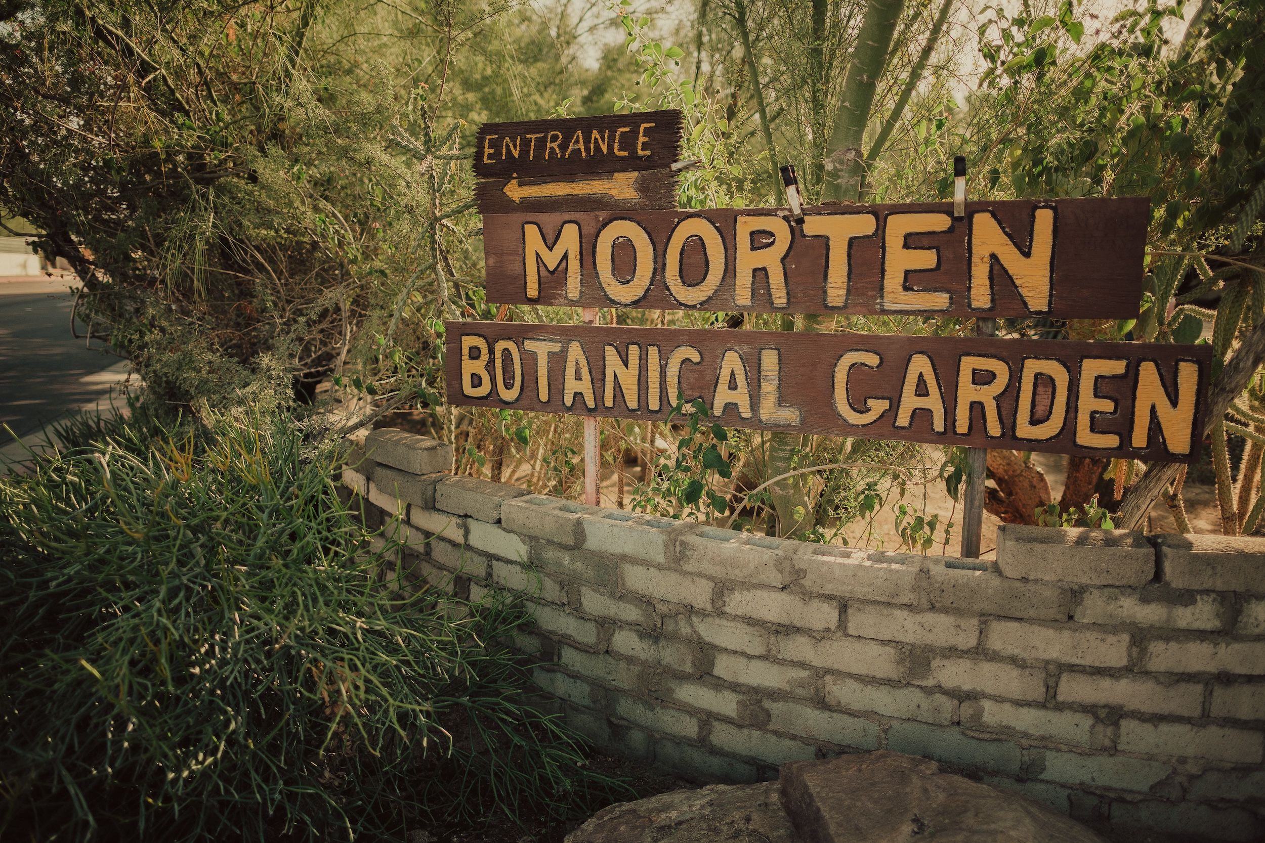 Moorten Botanical Garden Wedding, Palm Springs Wedding Venues, Palm Springs Wedding Photographer