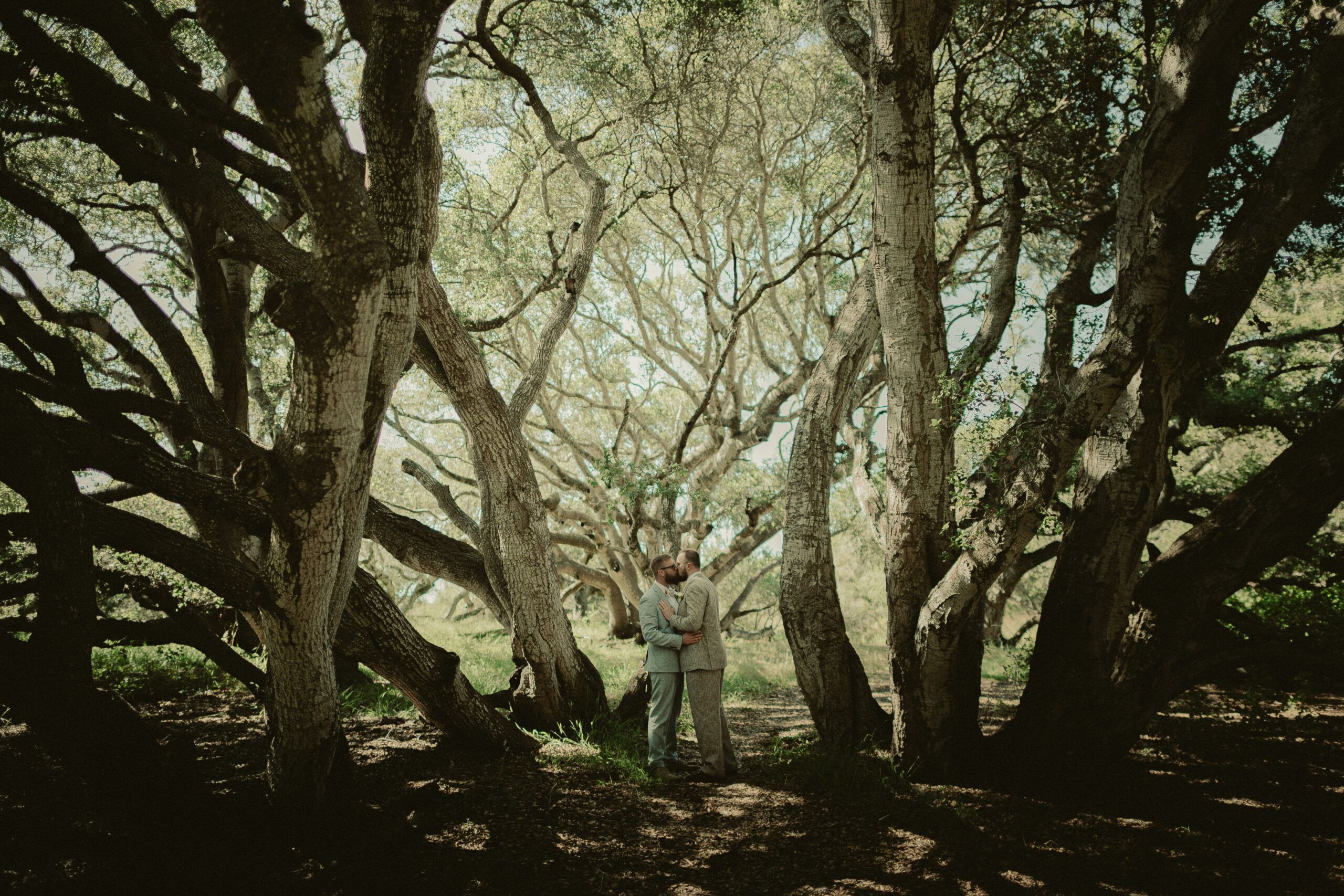 Austen and John kissing beneath a sweeping canopy of oak branches.