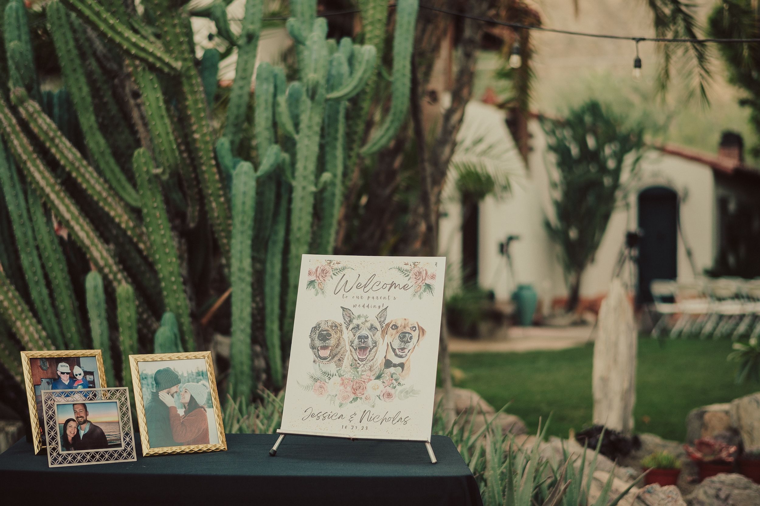 Moorten Botanical Garden Wedding, Palm Springs Wedding Venues, Palm Springs Wedding Photographer
