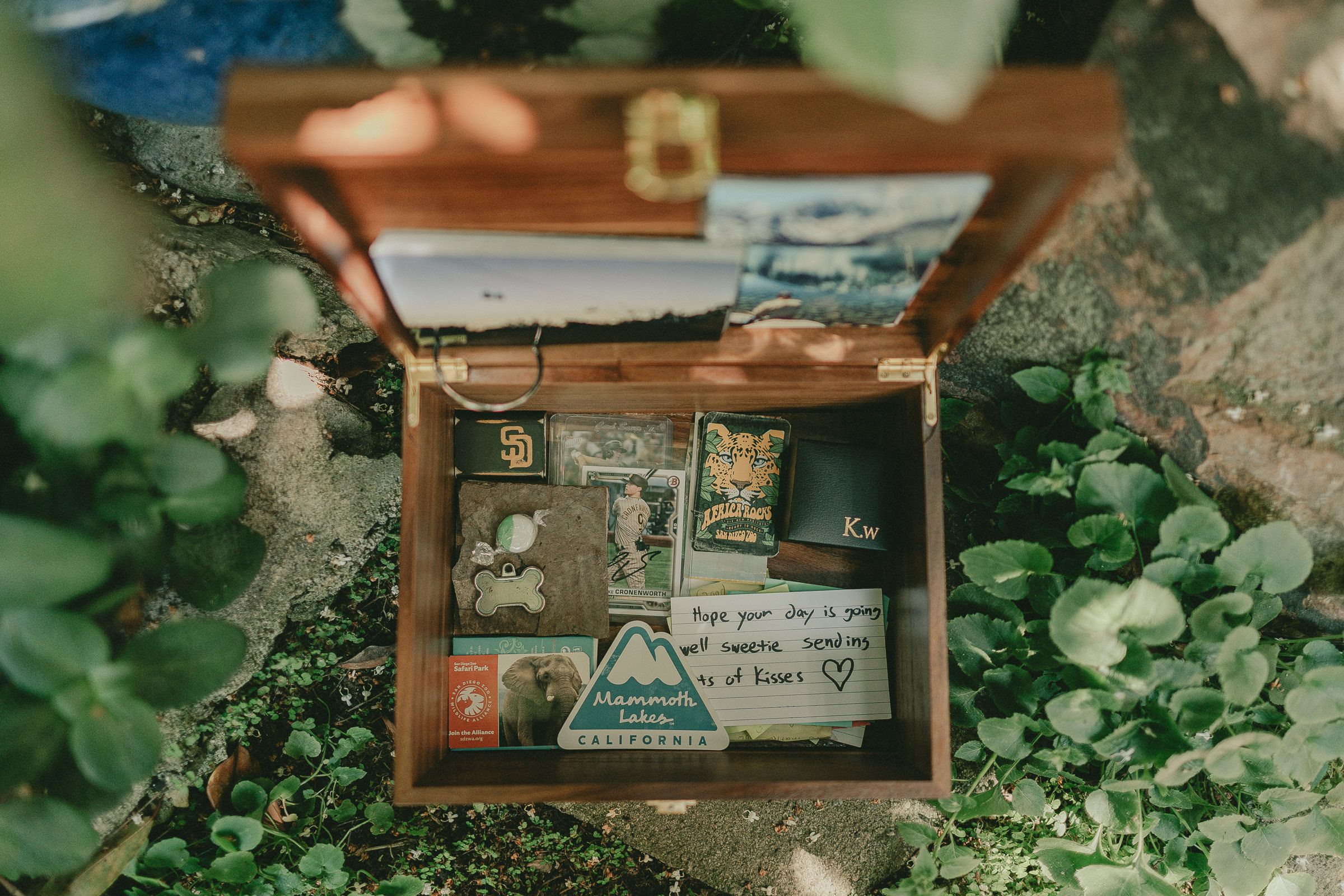 A wooden keepsake box of handwritten notes and personal mementos resting among garden leaves.