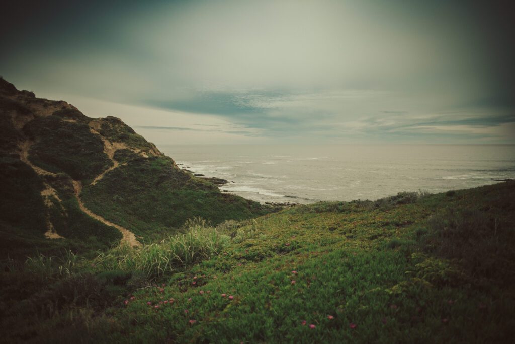 Montana de Oro Beach Elopement, San Luis Obispo Wedding Photographer, James Lester Photography