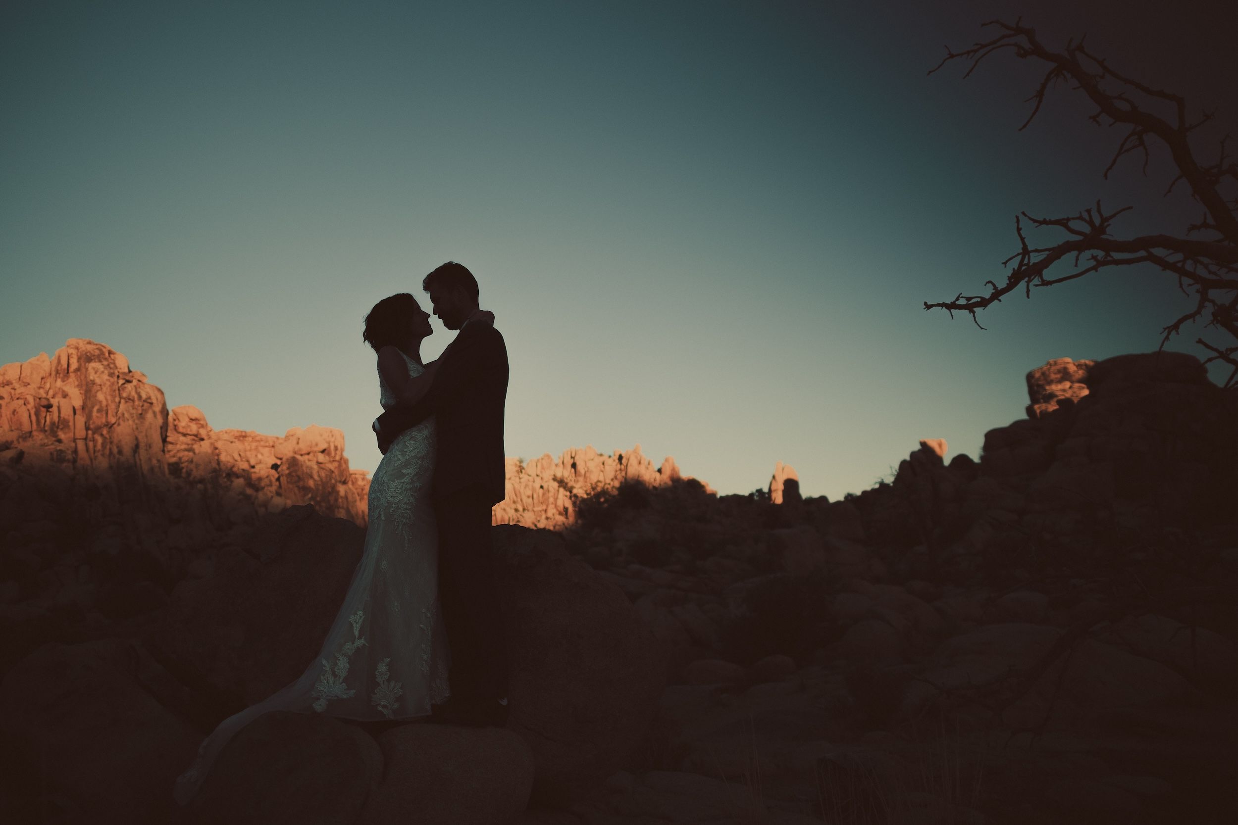 Joshua Tree Elopement, Joshua Tree Elopement Photographer, Joshua Tree Wedding Photos, Joshua Tree Wedding Photographer, Joshua Tree Elopements
