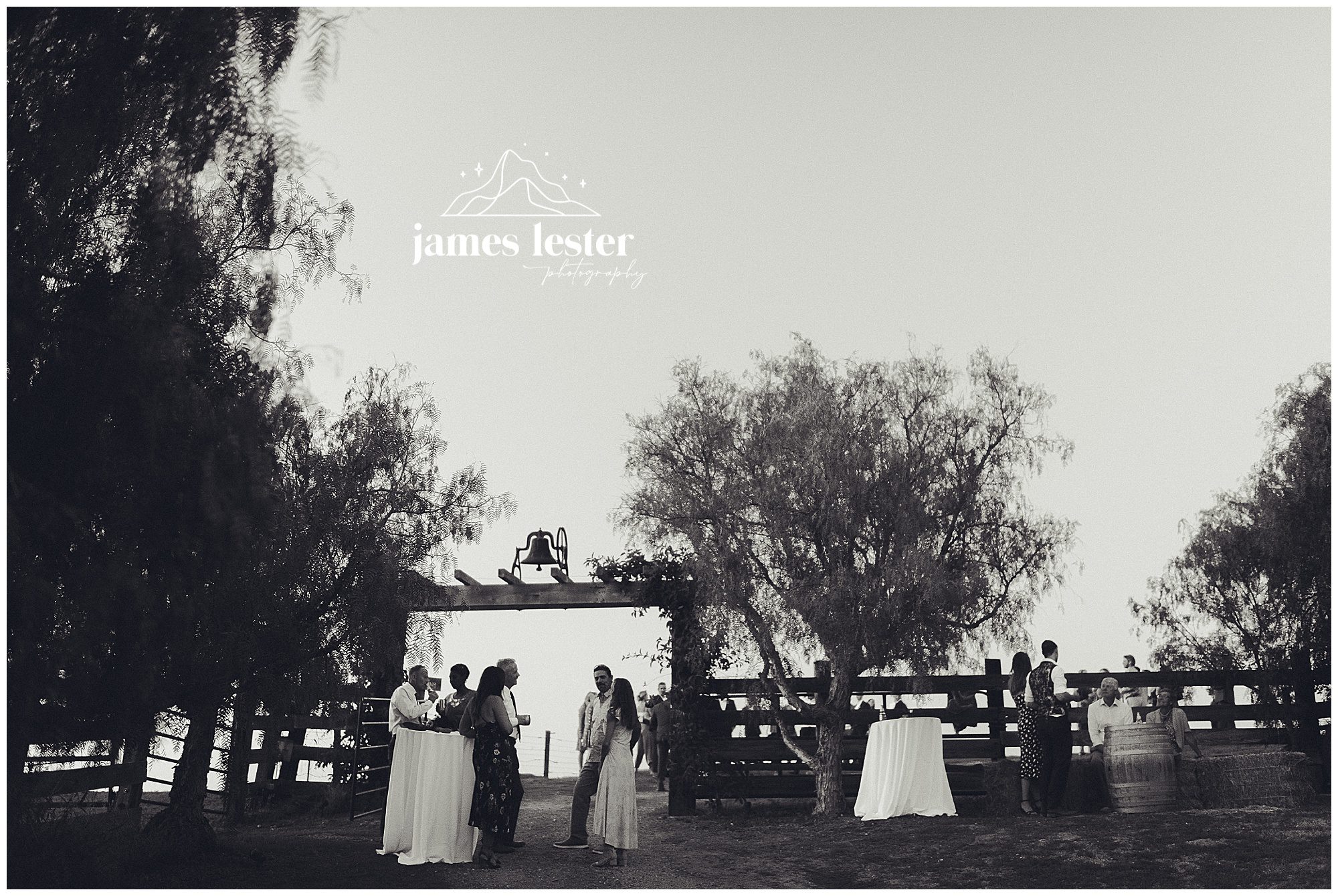 catalina-dylan-married_618