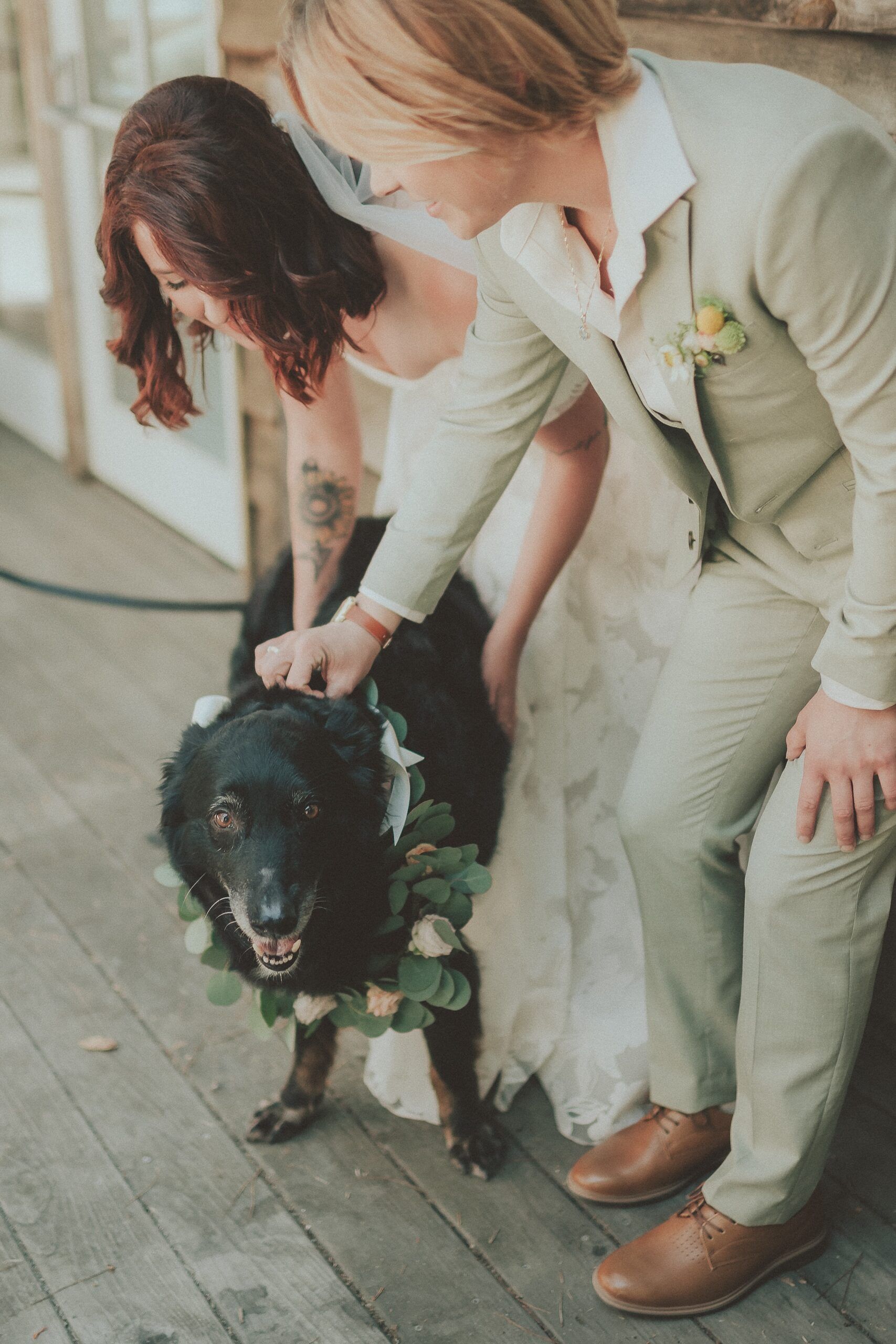Dog at Wedding Ceremony Camp Ocean Pines