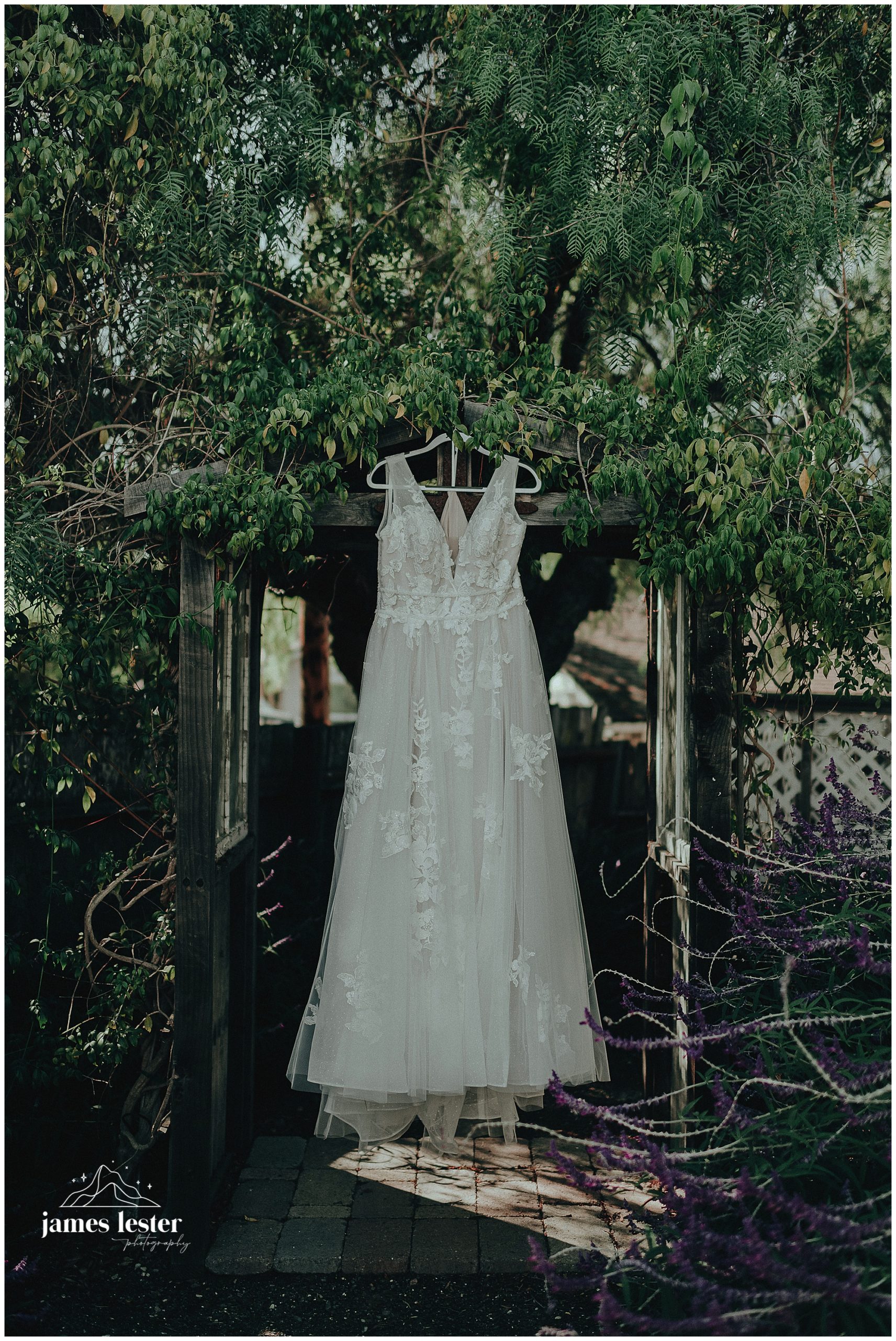 catalina-dylan-married_024