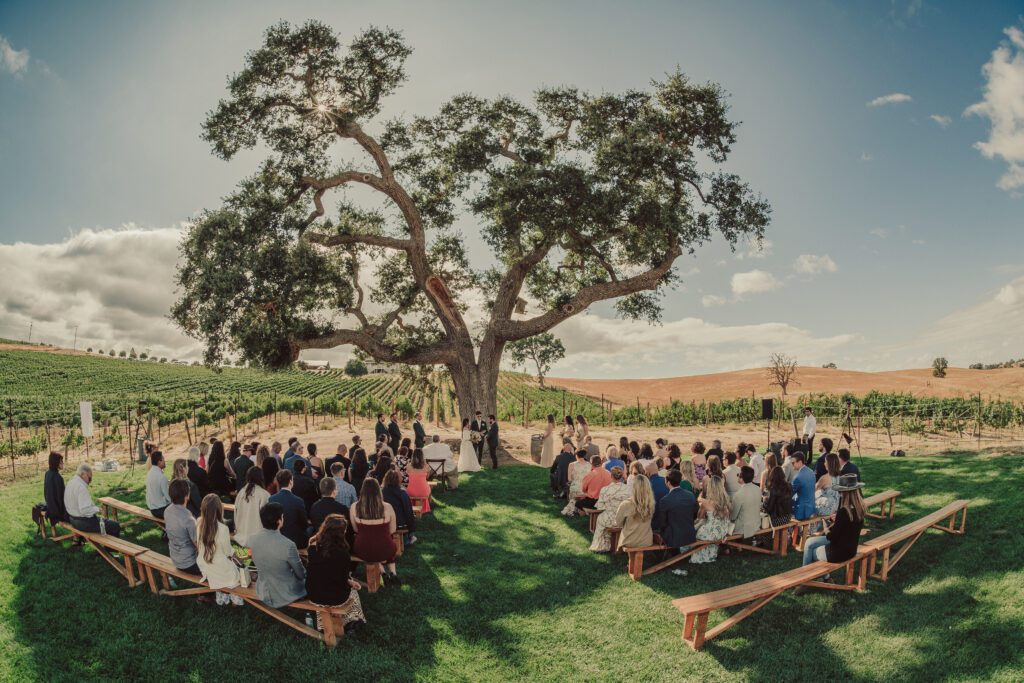 Ellas Vineyard Wedding, San Luis Obispo Wedding Photographer, James Lester Photography