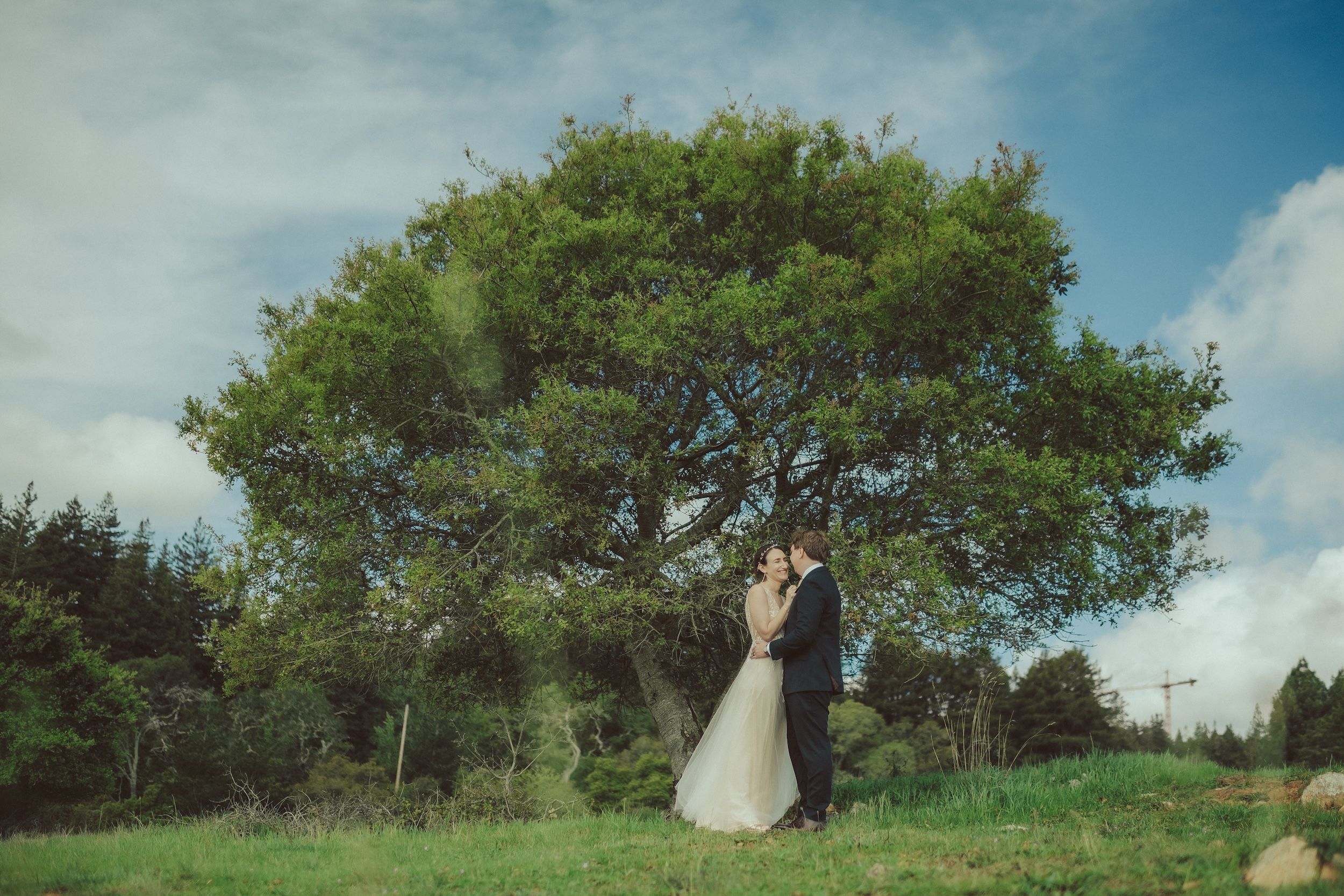 Henry Cowell Redwoods State Park Wedding, Woodhouse Brewery Wedding, Santa Cruz Wedding, James Lester Photography