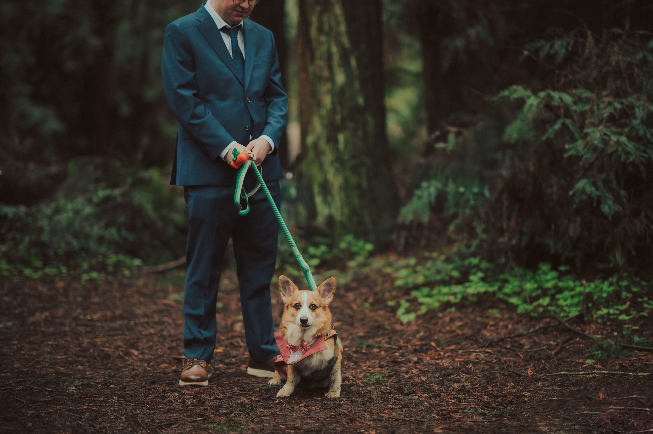Henry Cowell Redwoods State Park Wedding, Woodhouse Brewery Wedding, Santa Cruz Wedding, James Lester Photography