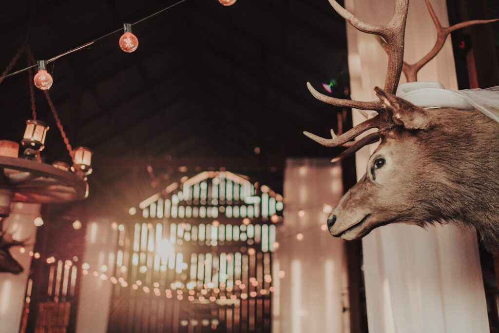 Spreafico Farms Wedding Venue San Luis Obispo, San Luis Obispo Wedding Photographer, James Lester Photography