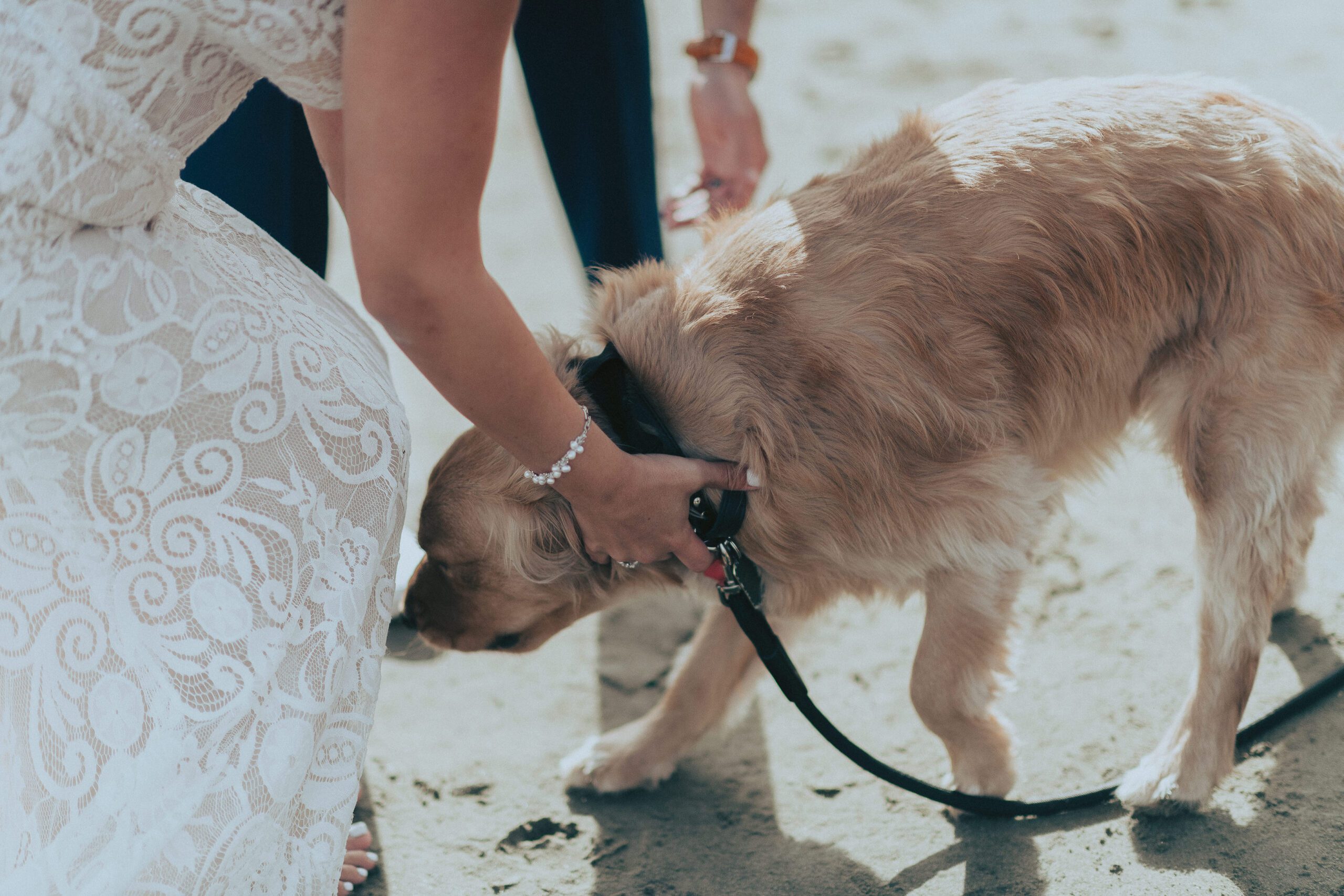 Estero Bluffs State Park Adventure Elopement, James Lester Photography, Cayucos CA Wedding