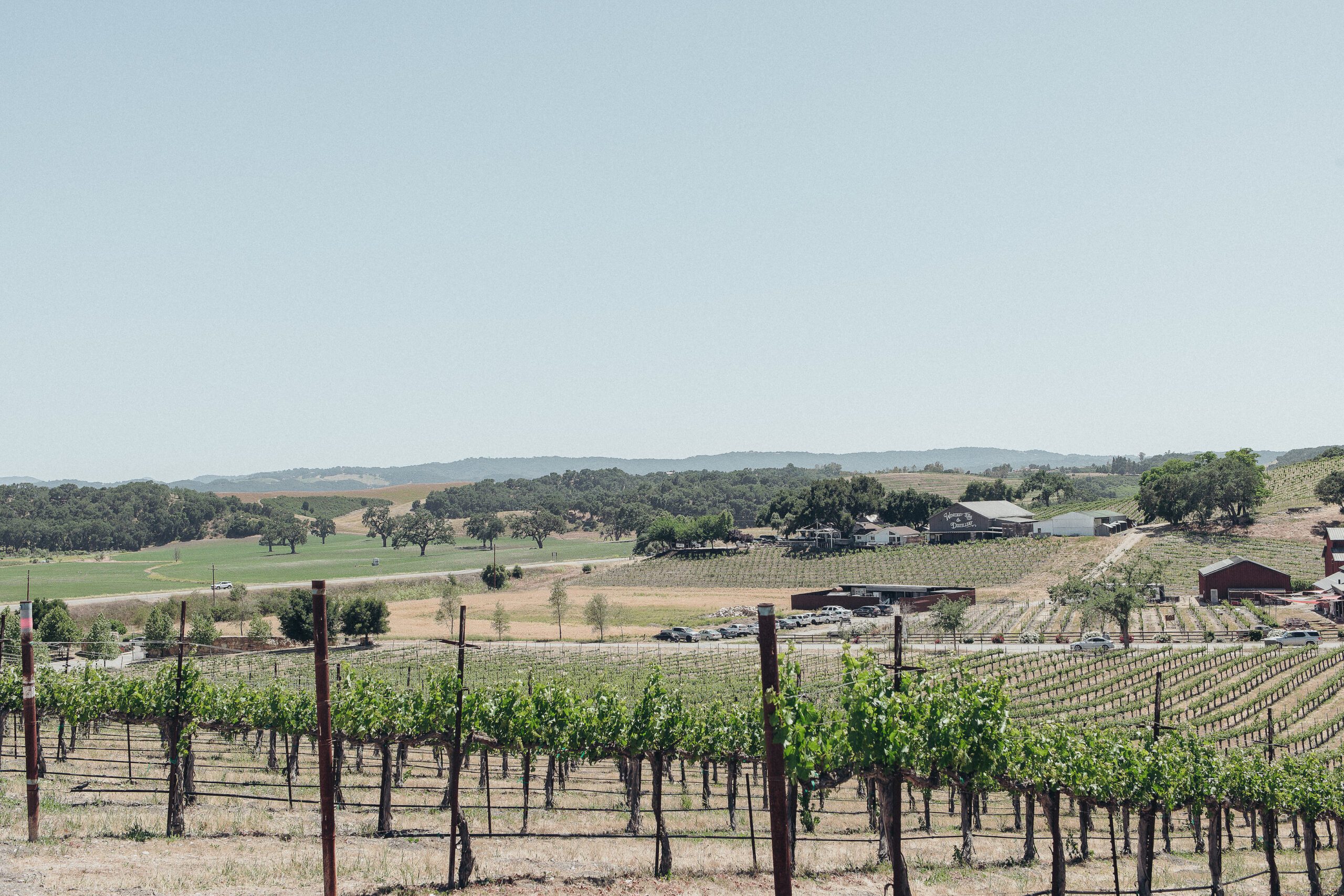 Tooth and Nail Winery Wedding, San Luis Obispo Wedding Photographer, Paso Robles Wedding Photographer, James Lester Photography