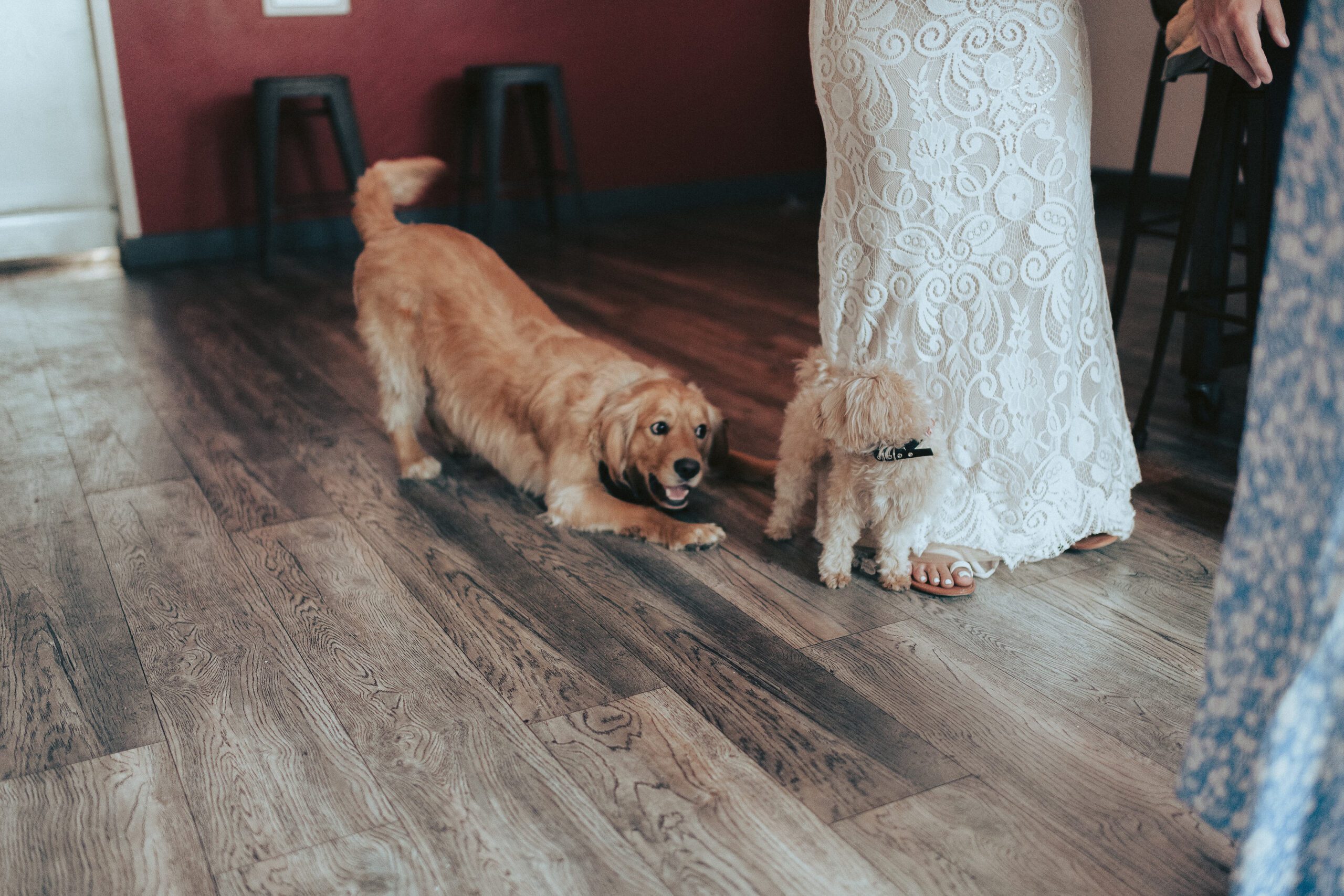 Estero Bluffs State Park Adventure Elopement, James Lester Photography, Cayucos CA Wedding