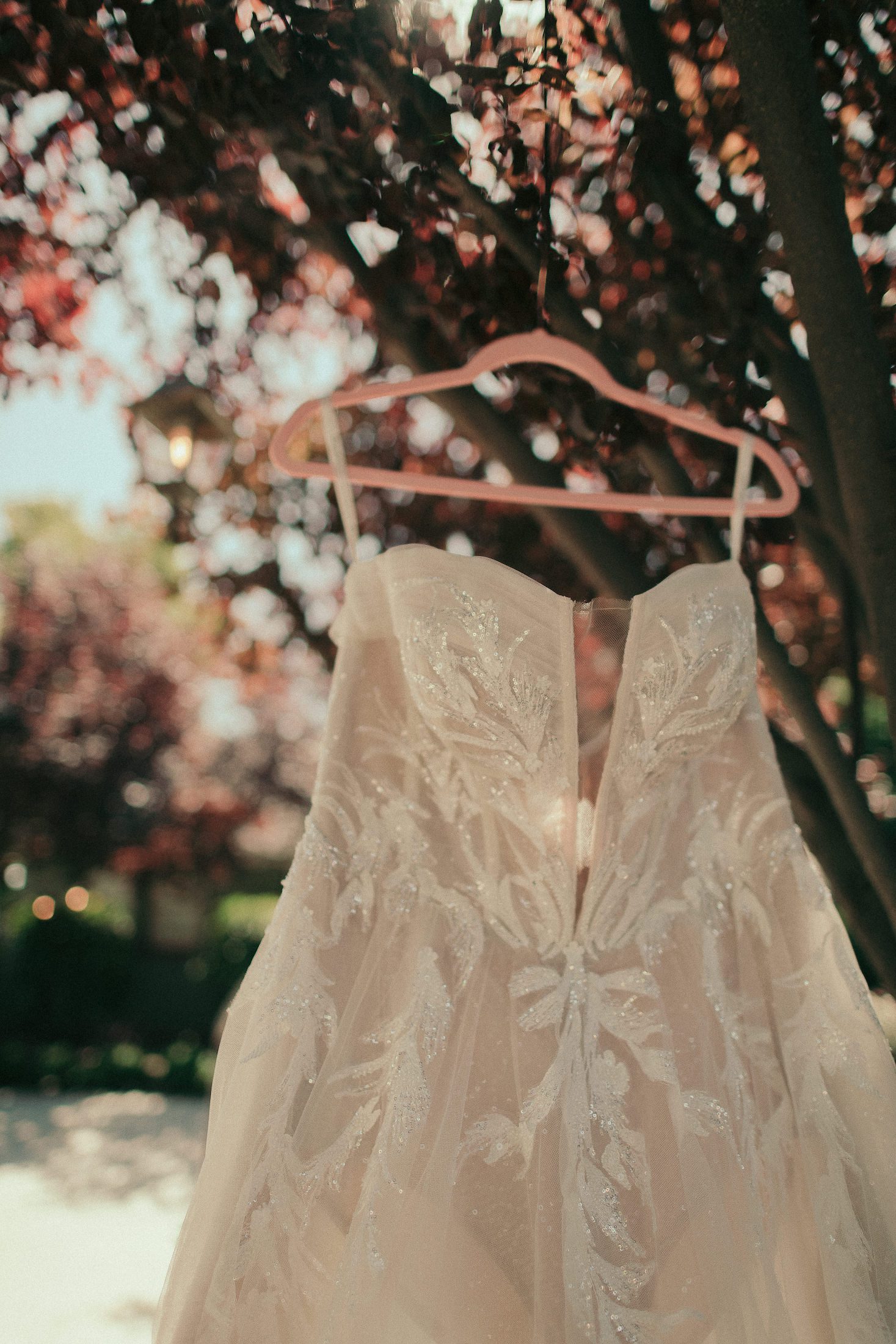 Hidden Hollow Wedding Reedley CA, Fresno Wedding Photographer, San Luis Obispo Wedding Photographer, James Lester Photography