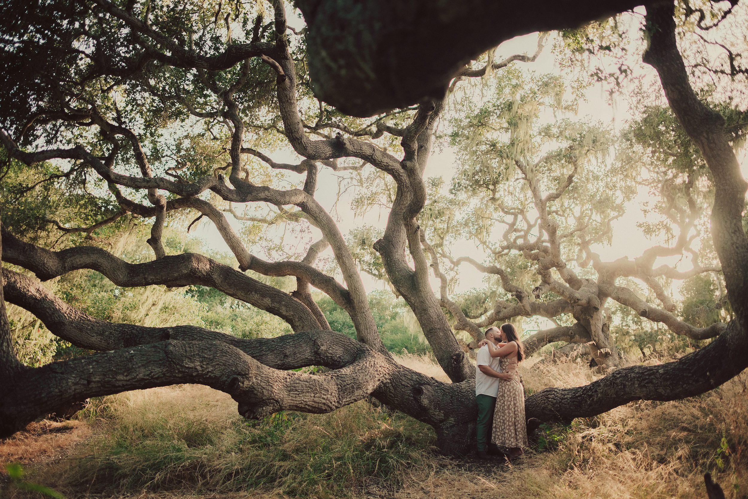 Photo from Almond Springs Wedding. Los Osos Oaks Reserve & Prefumo Canyon Vista Point Engagement Photos