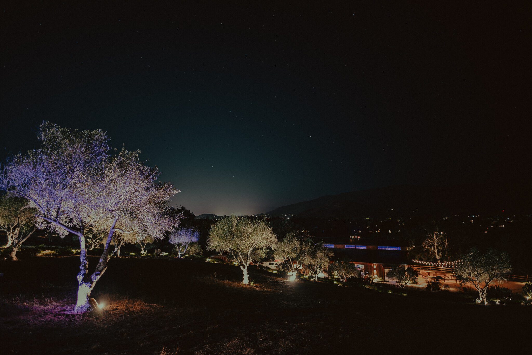 image-asset-165-3
